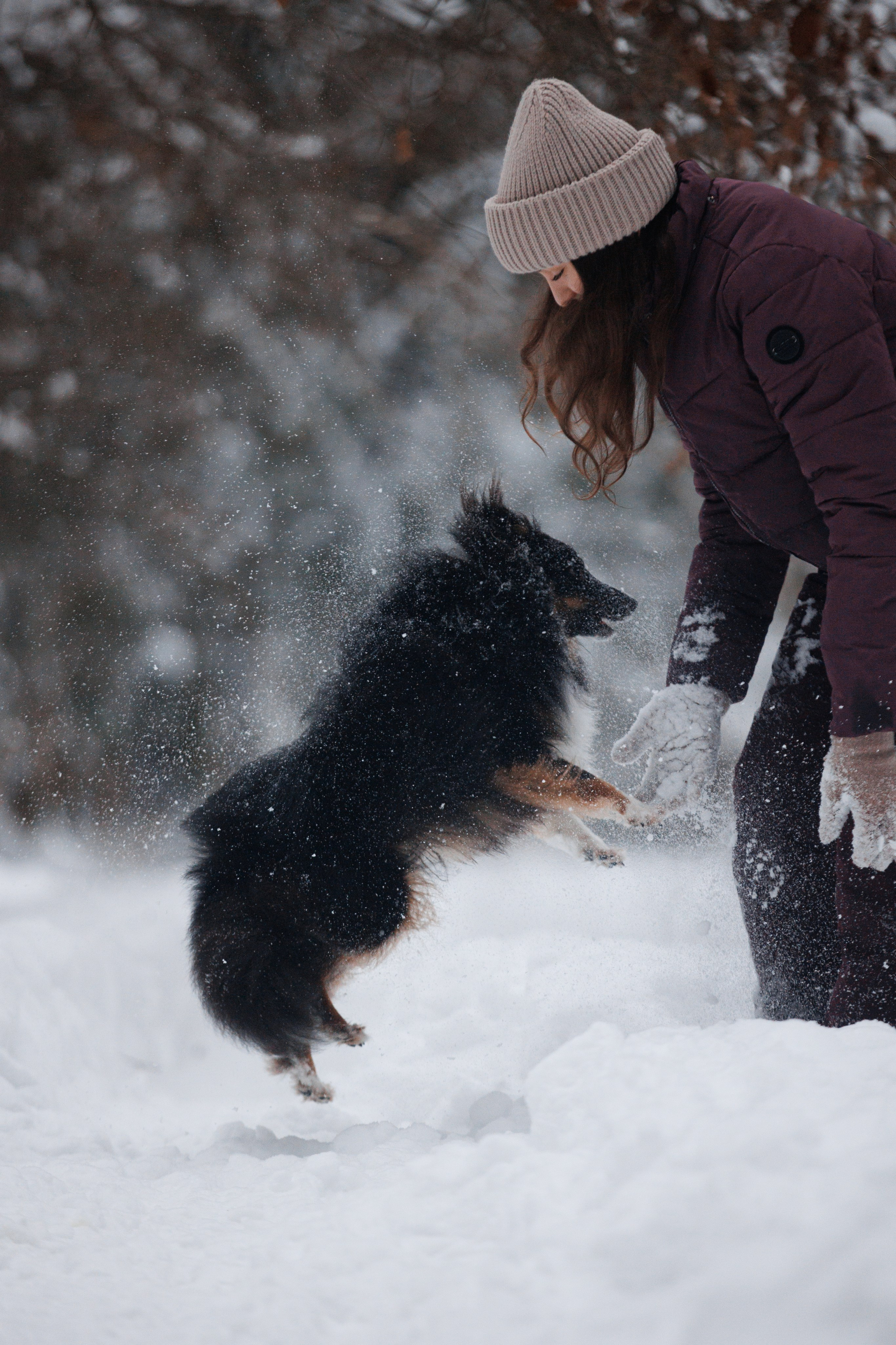 Даша и компания. Фотограф анималист Кристина Карпова, Москва