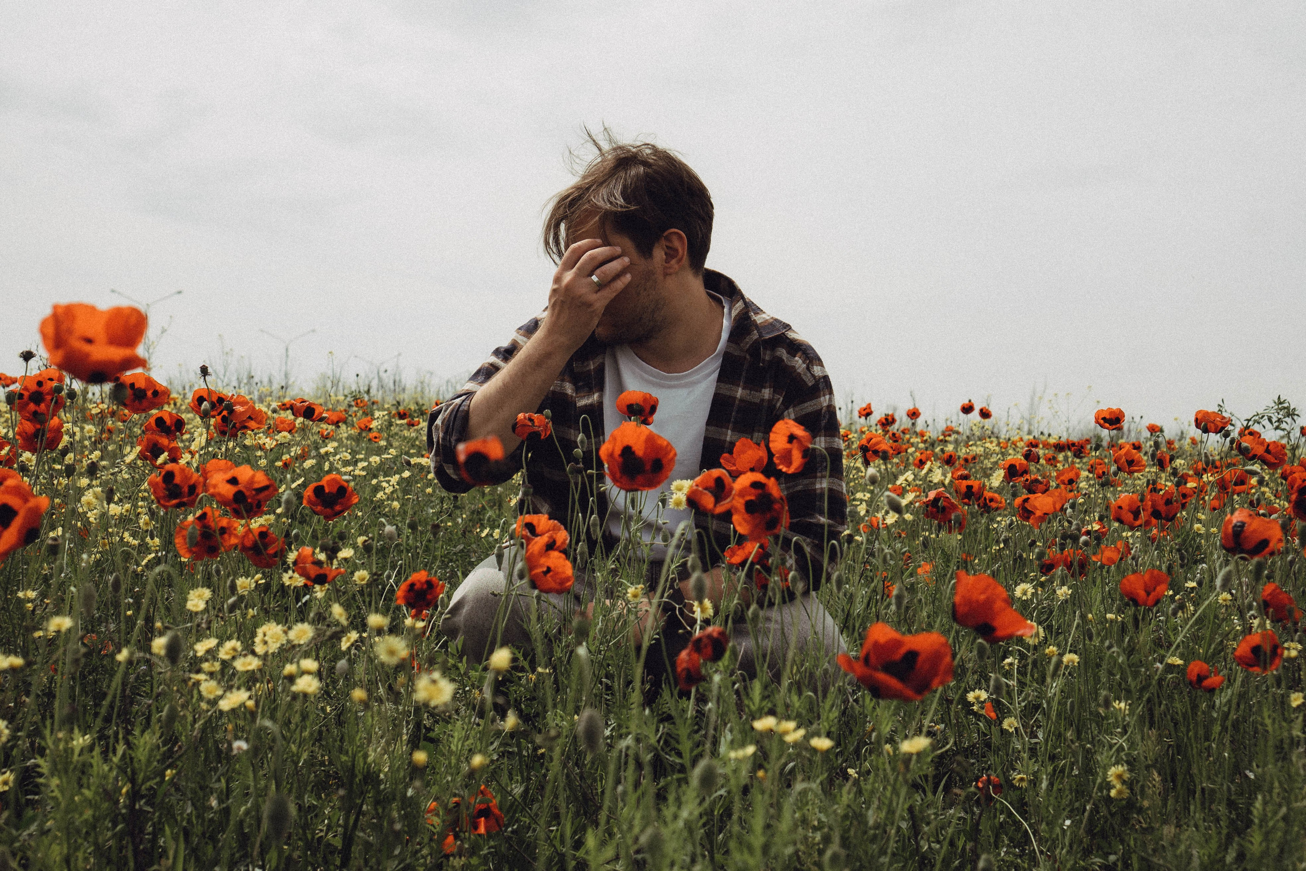 Маки. Профессиональный фотограф, Санкт-Петербург — Виктория Богомолова