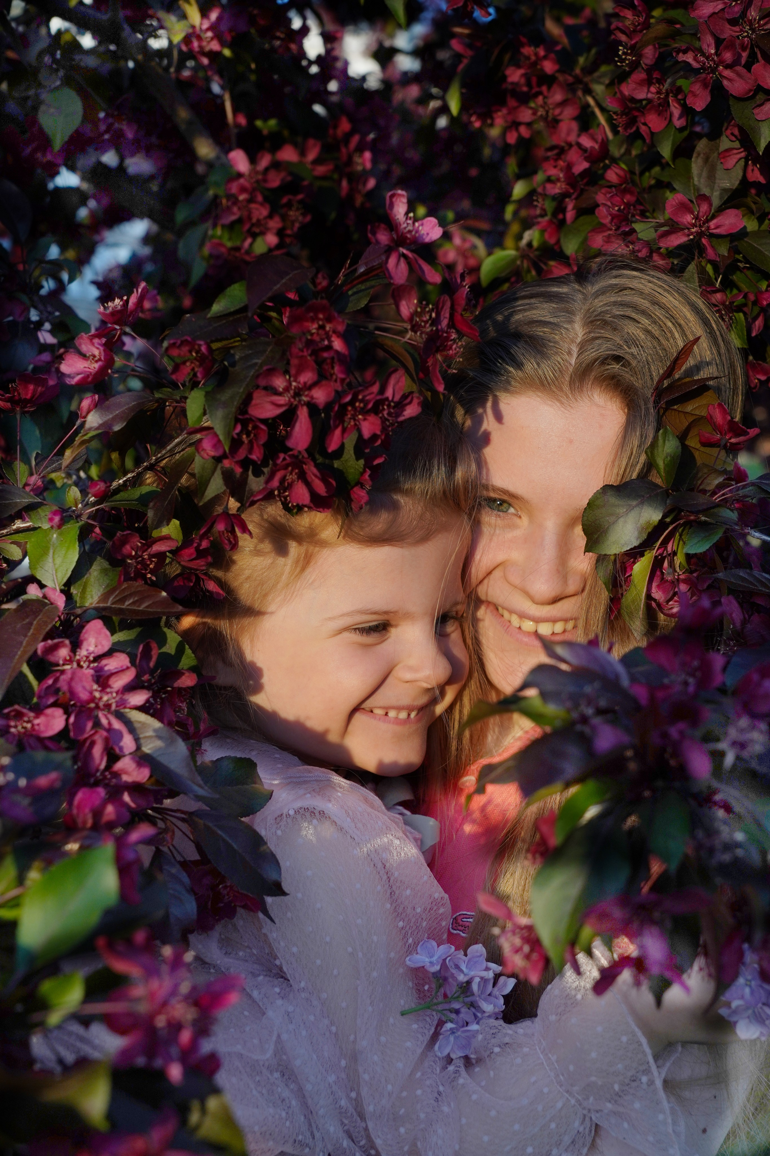 Моя фотостудия: поле, лес, море и горы… Казань — Москва — Болгария