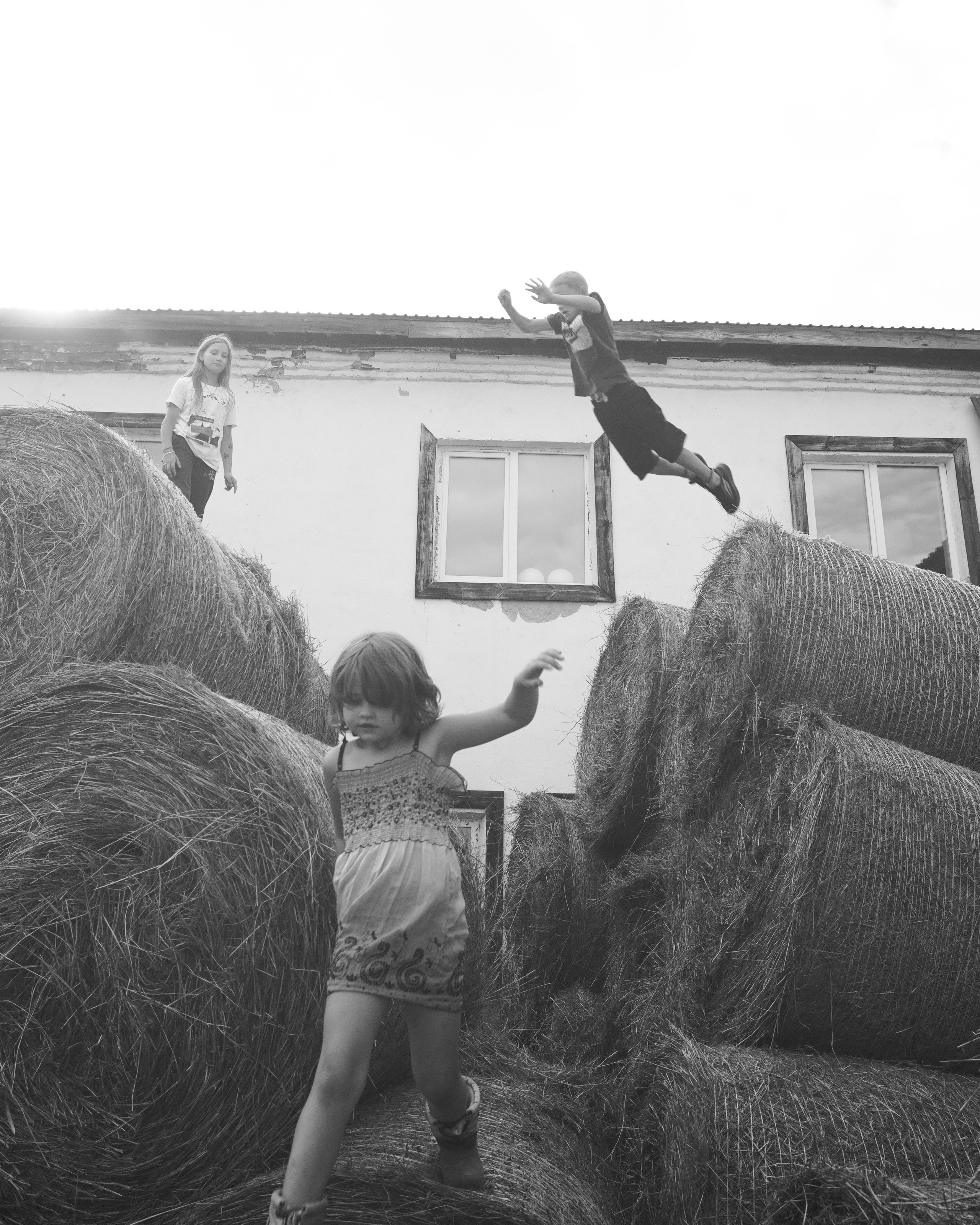 Ферма. Фотограф/видеограф Никита Дудин