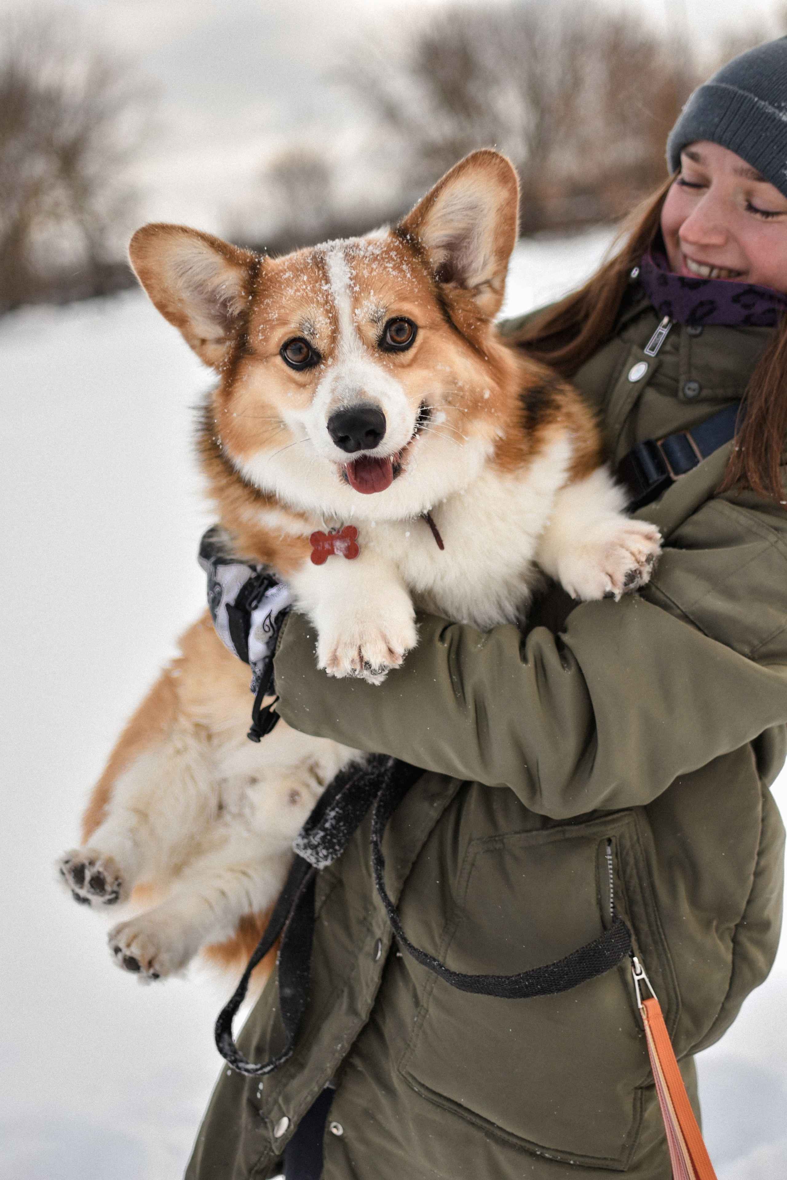 Алекс и Вера. Фотограф-анималист Ксения Шевцова|Москва