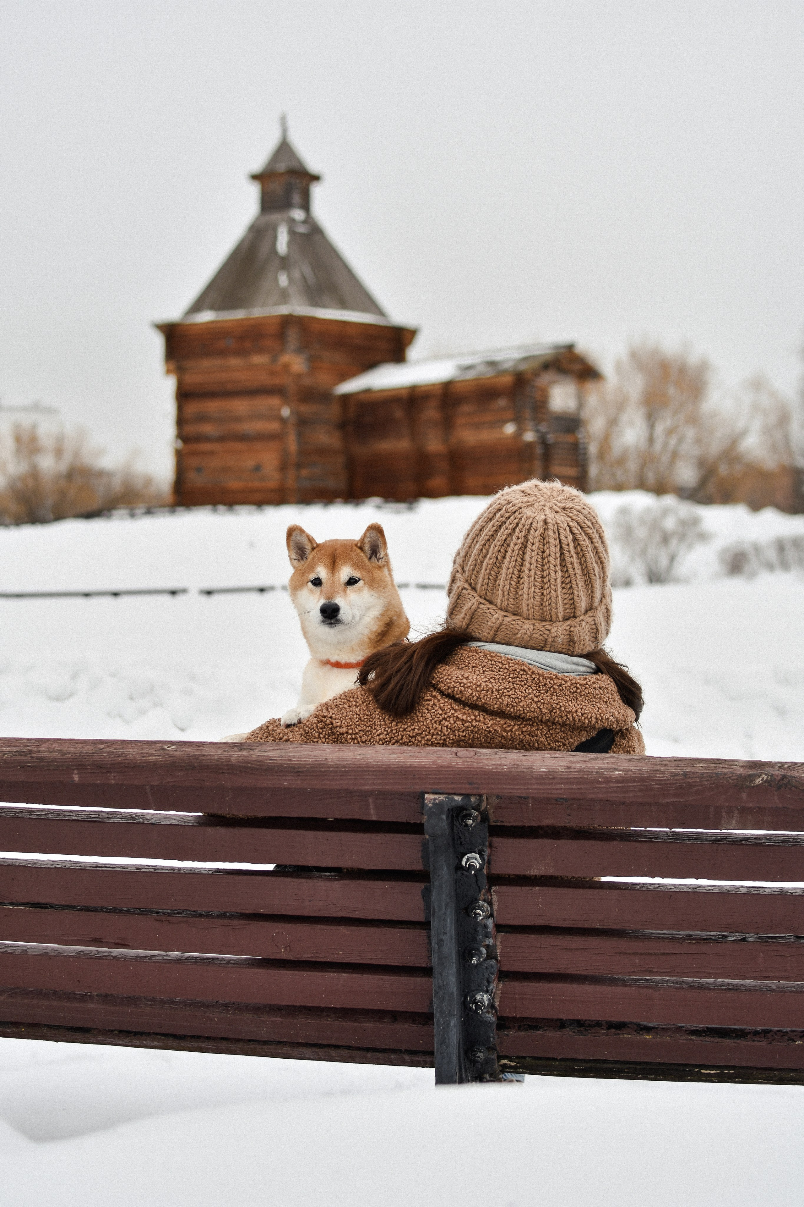 Ханна и Даша. Фотограф-анималист Ксения Шевцова|Москва