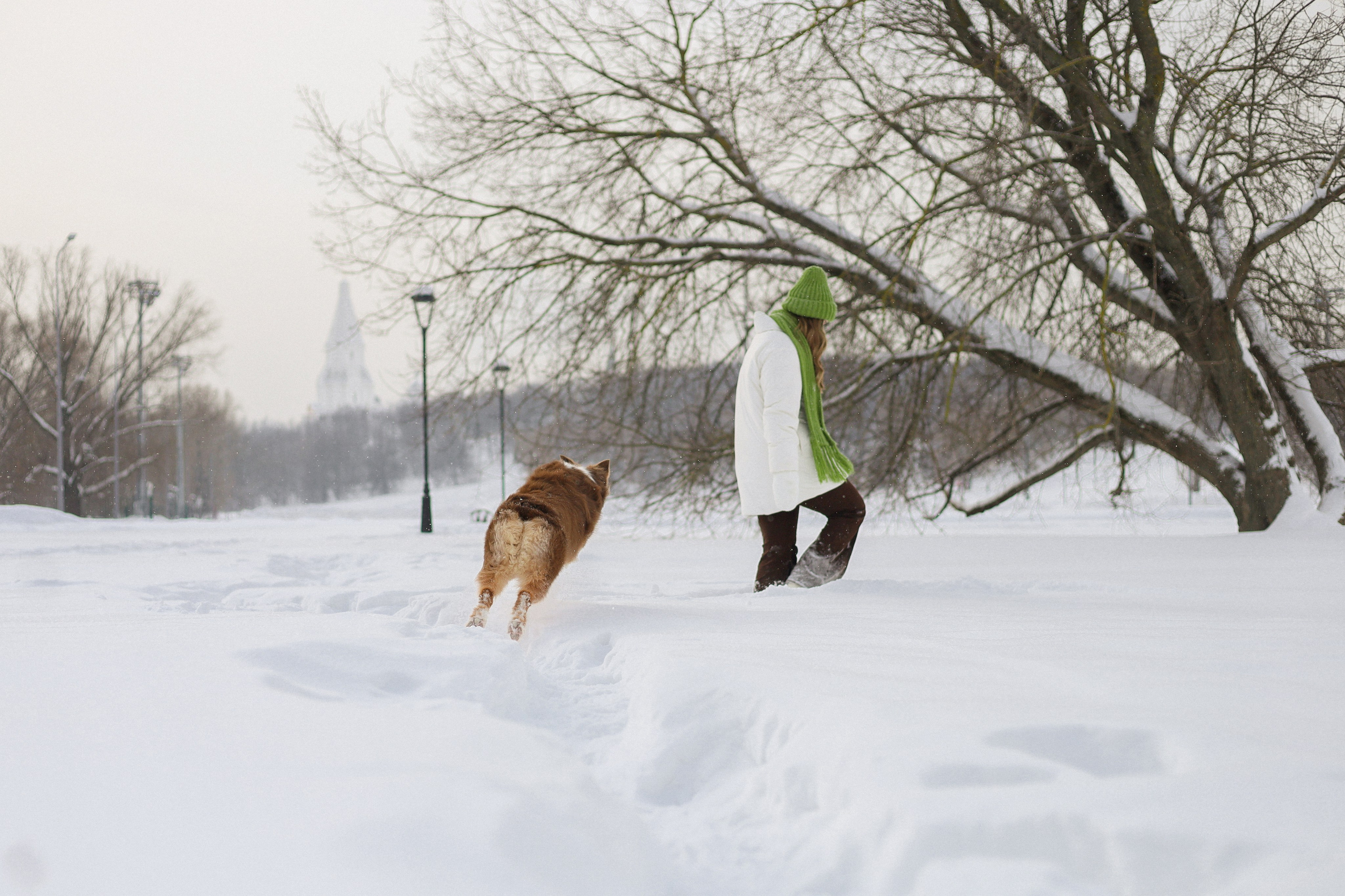 Макалу и Аня. Фотограф-анималист Ксения Шевцова|Москва
