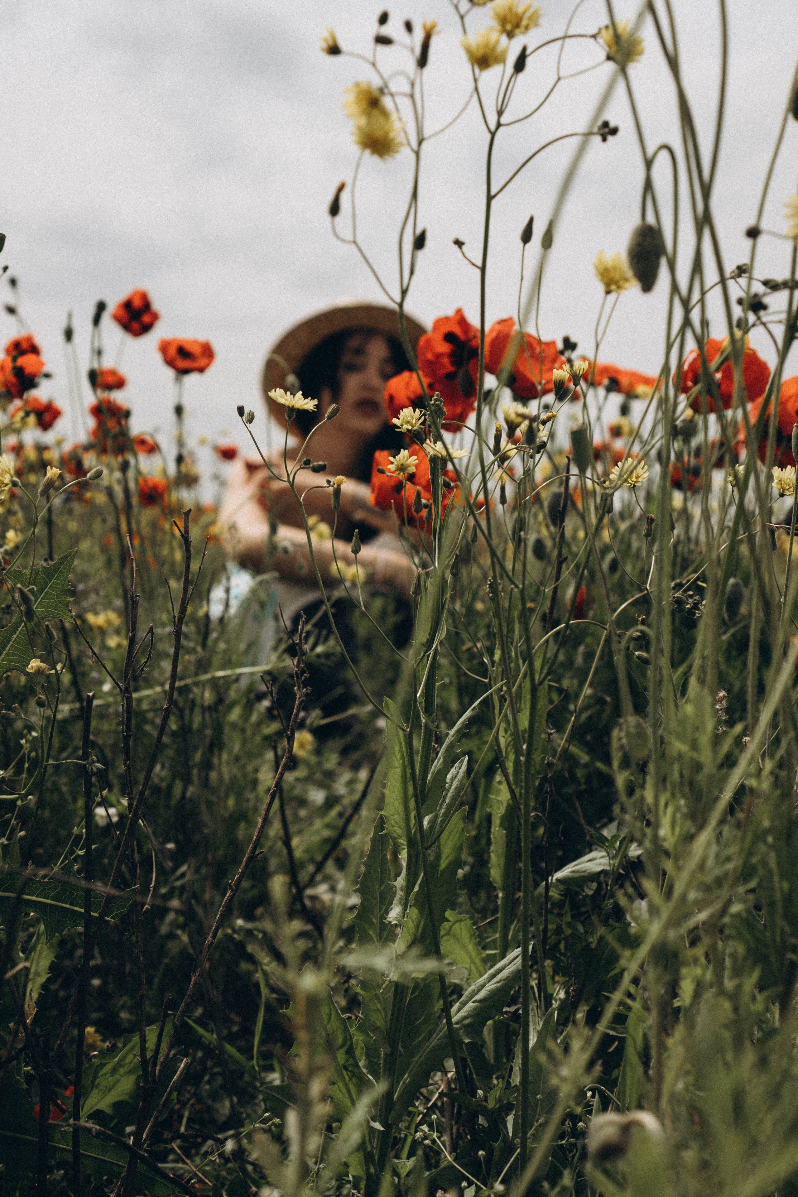 Цветочная поляна. Профессиональный фотограф, Санкт-Петербург — Виктория Богомолова