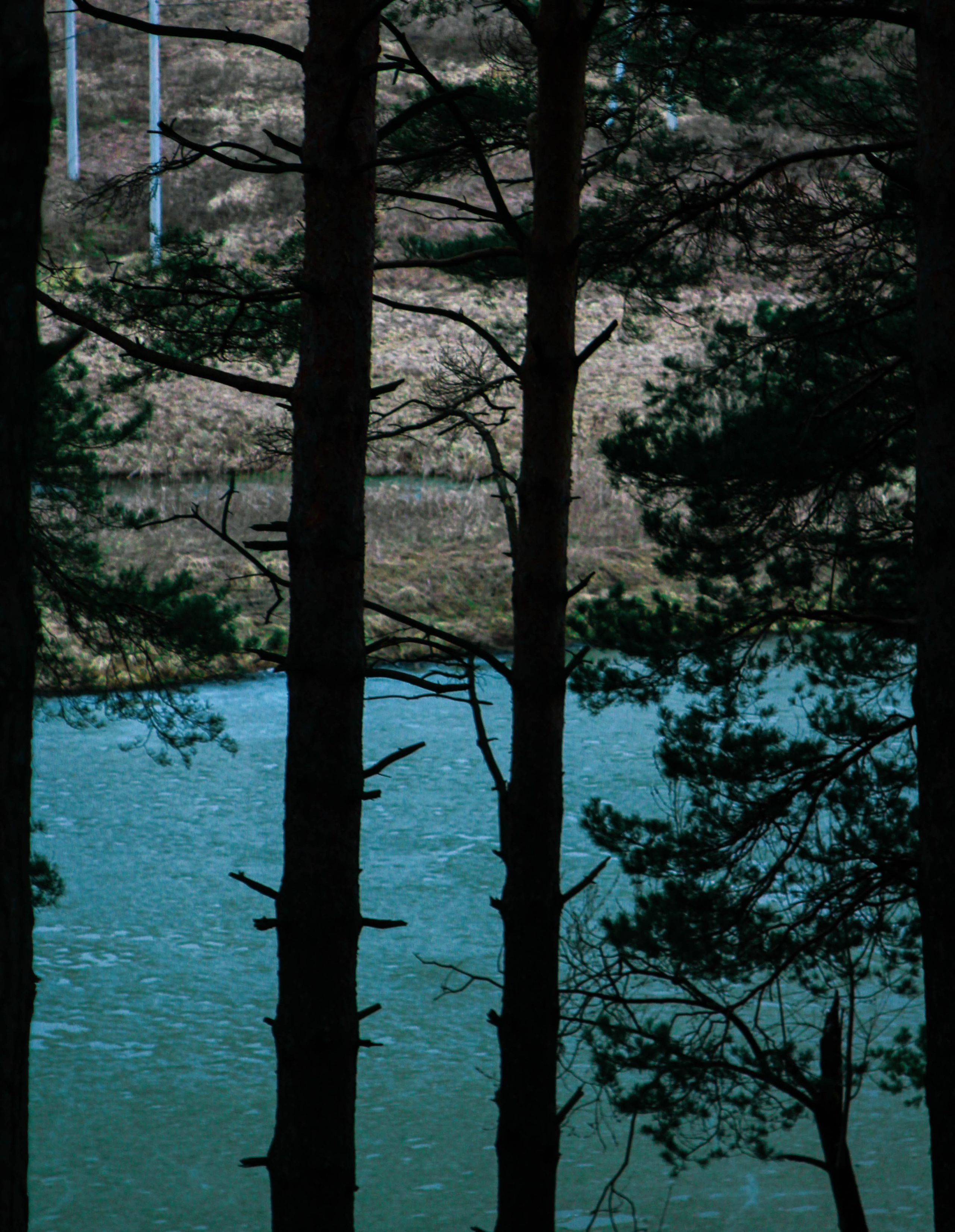 Личные кадры. Сайт о предметной, имиджевой и портретной фотографии, фотограф Фил Киреев