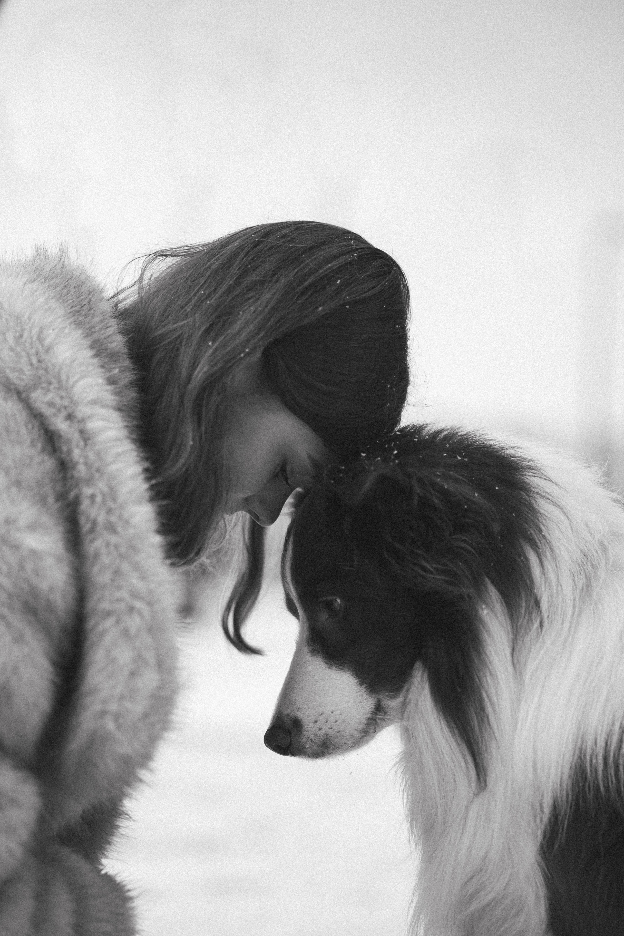 Маша и Брауни. Фотограф-анималист в Санкт-Петербурге Алина Яхонт