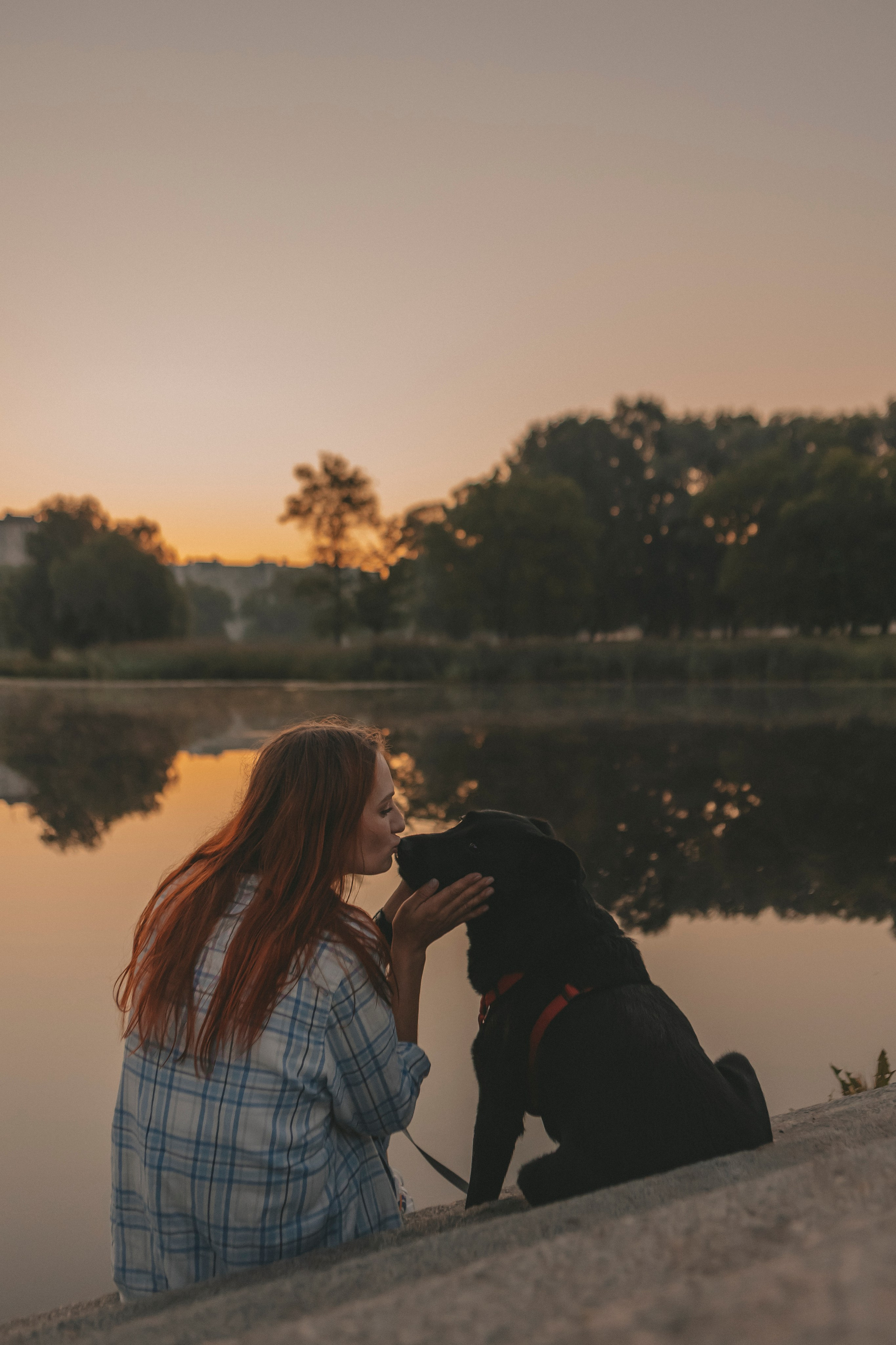 Саша и Дана. Фотограф-анималист в Санкт-Петербурге Алина Яхонт