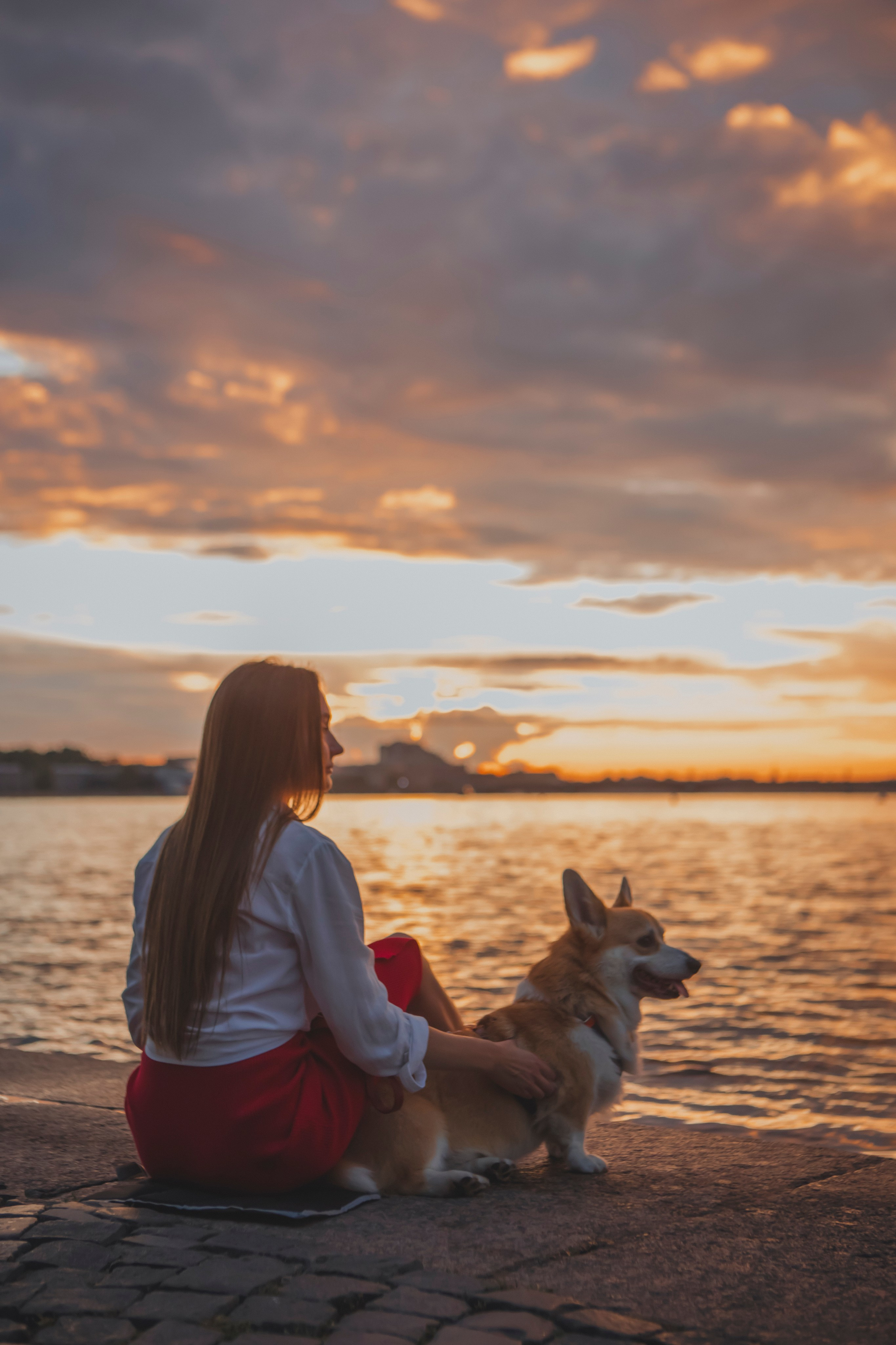 Настя и Стёпа. Фотограф-анималист в Санкт-Петербурге Алина Яхонт
