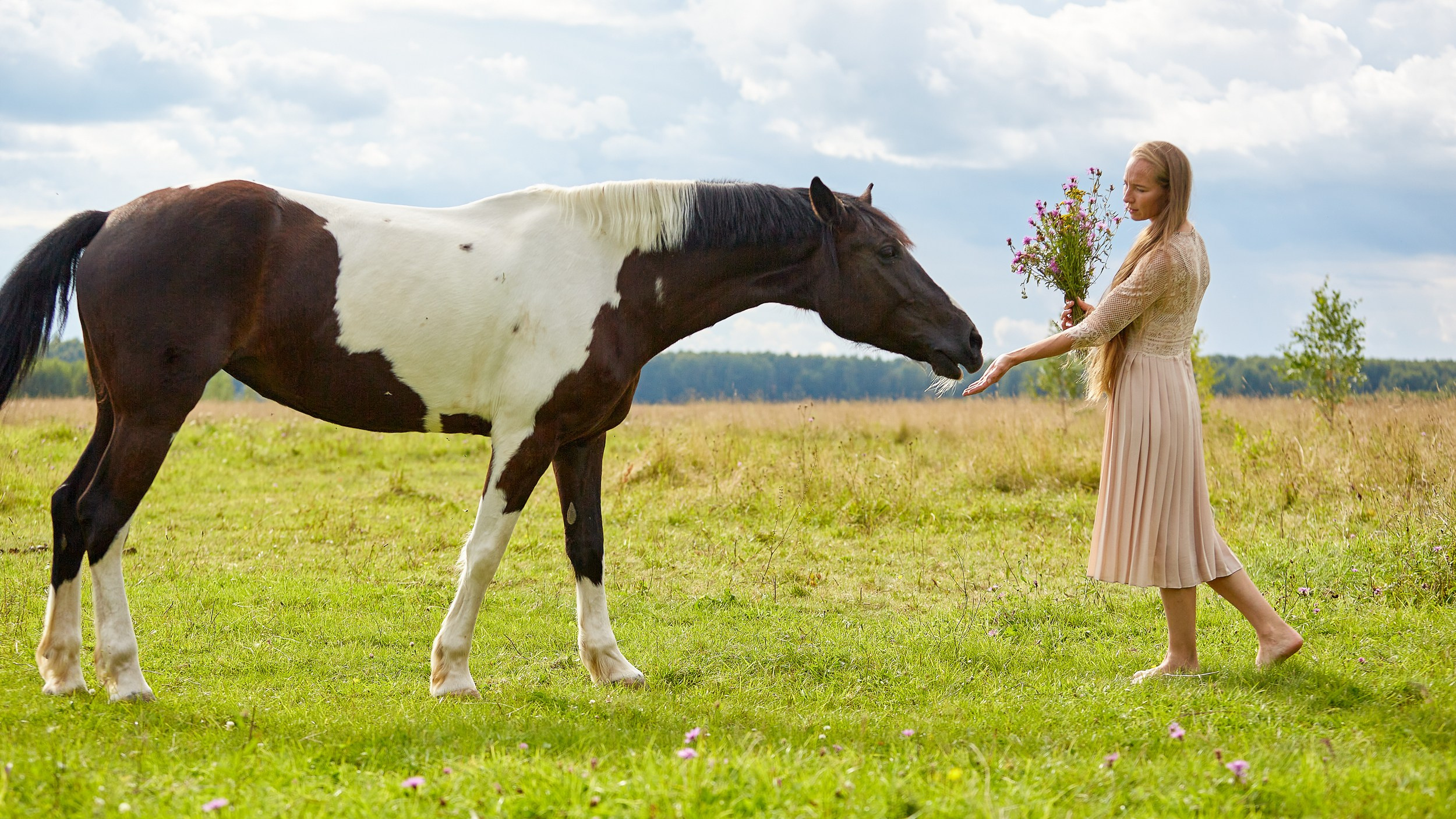 Балет и лошади, фотосессия «ГРАЦИЯ и СИЛА-1» Фотограф Михаил Семенов г. Ярославль (1)