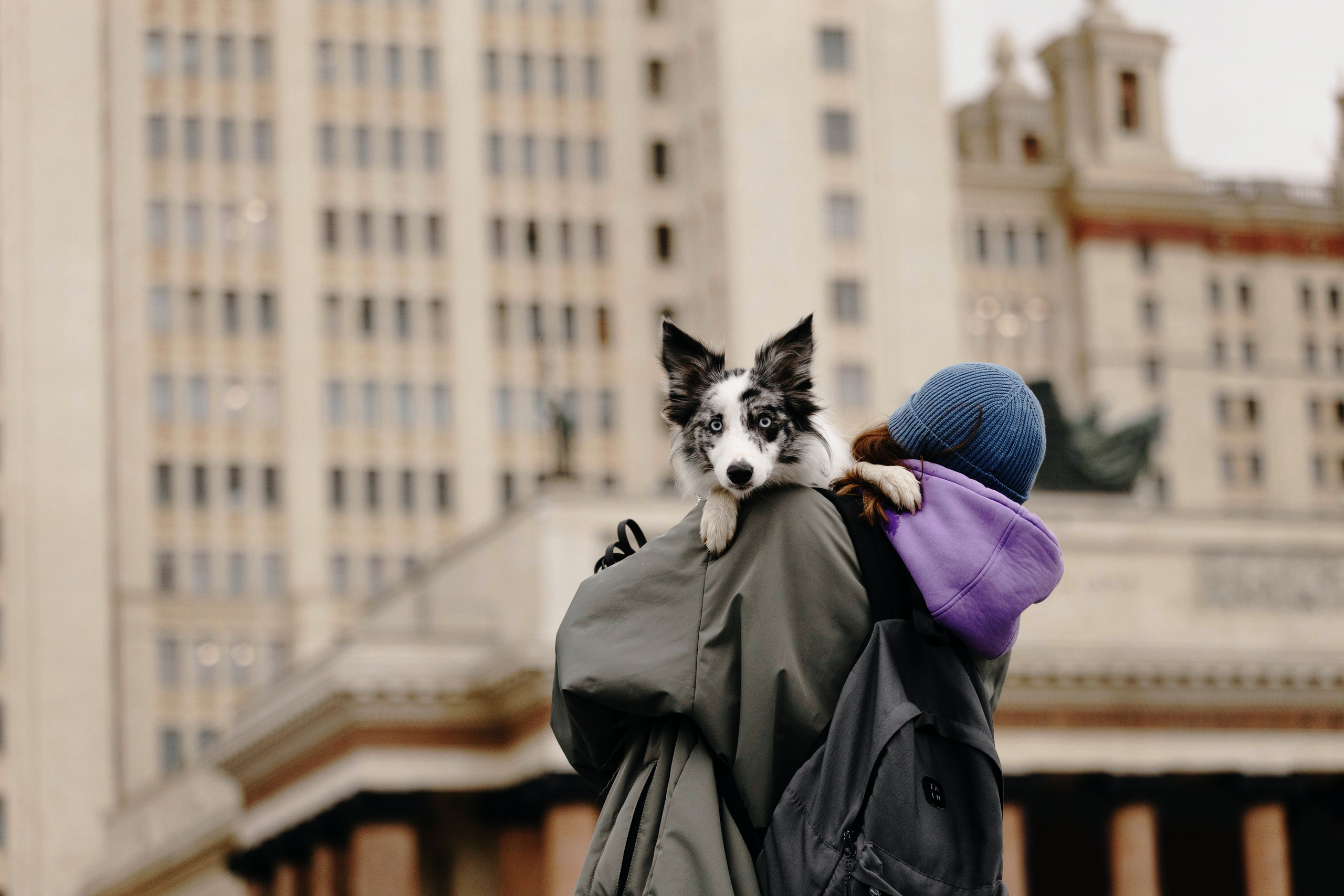 Москва / Настя и Рикотта. Фотограф Кузина Вера