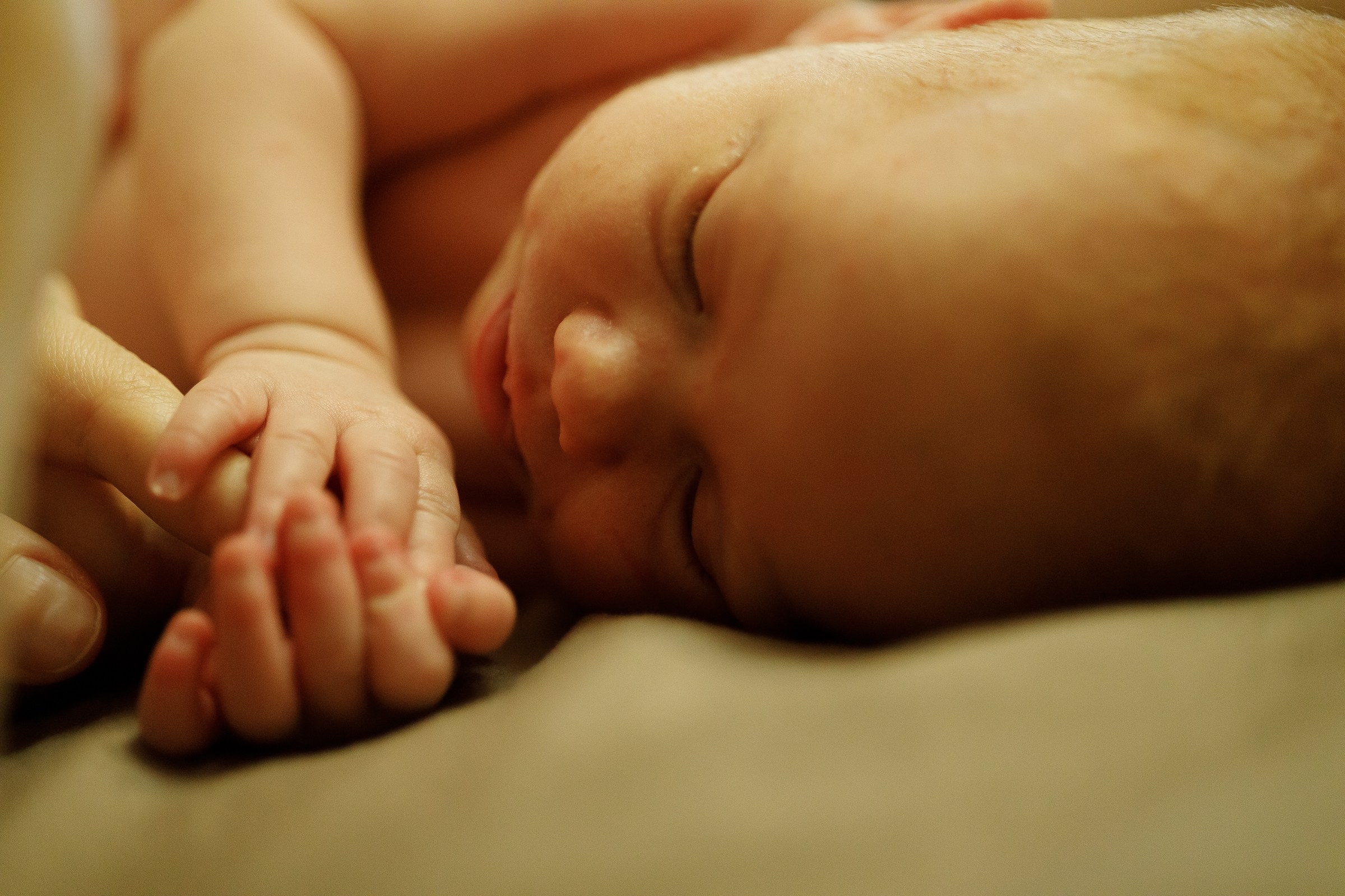 Месяц Александре. Фотограф Москва