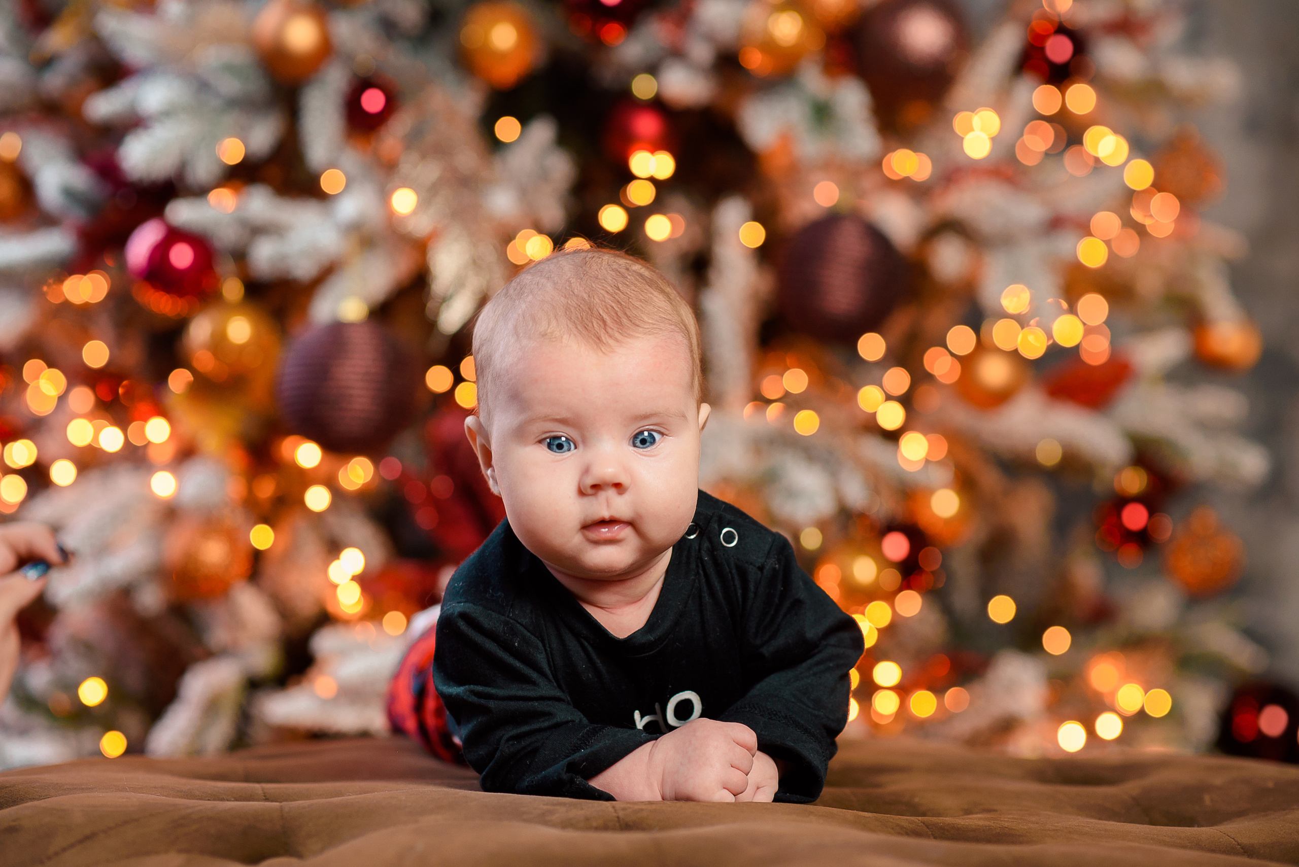 Семья. Семейный и свадебный фотограф Элеонора Головёнкина Калининград — Находка