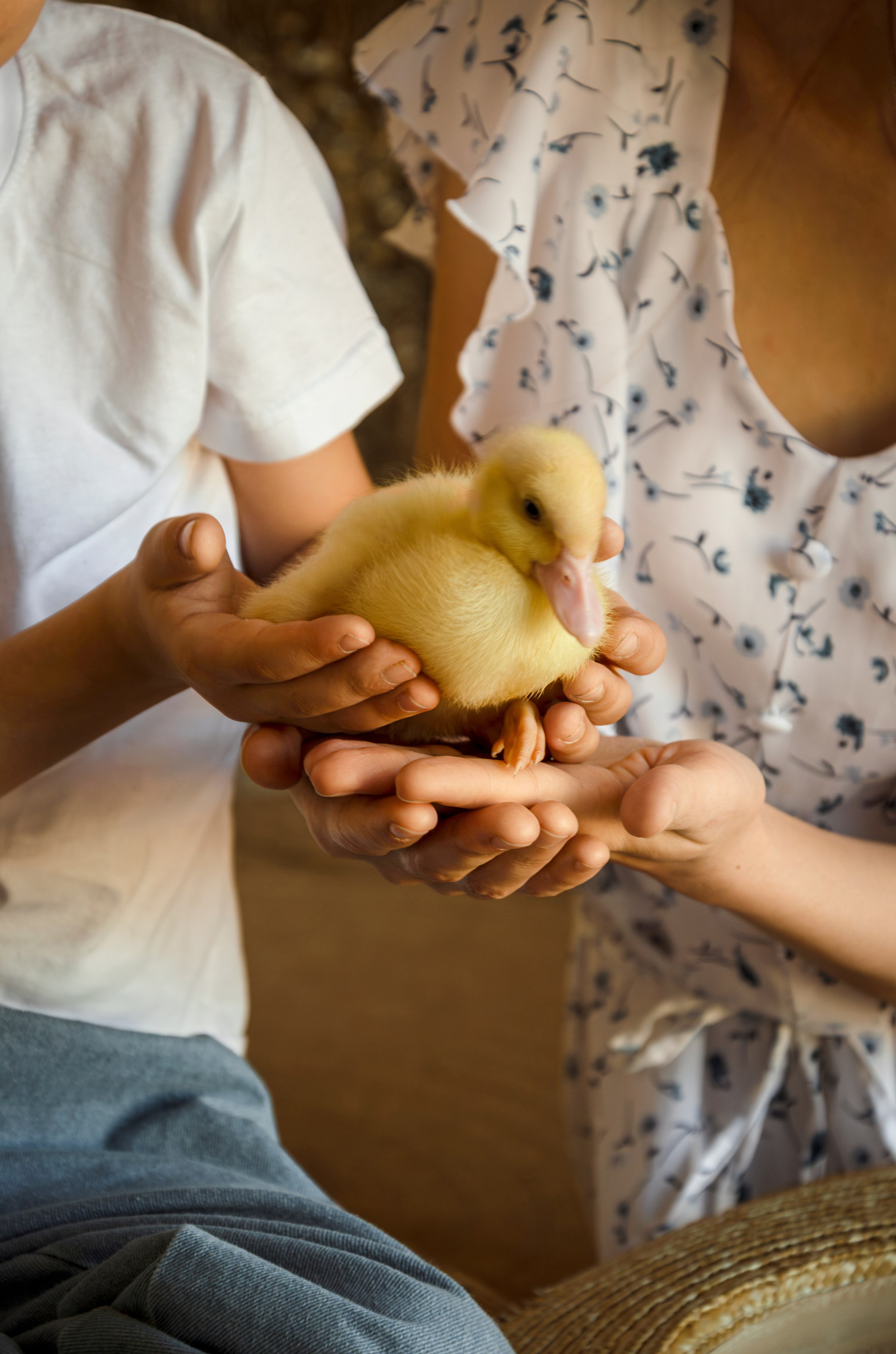 Мама и ее маленький фермер. Фотографы в Тюмени Андрей и Лидия Войвод
