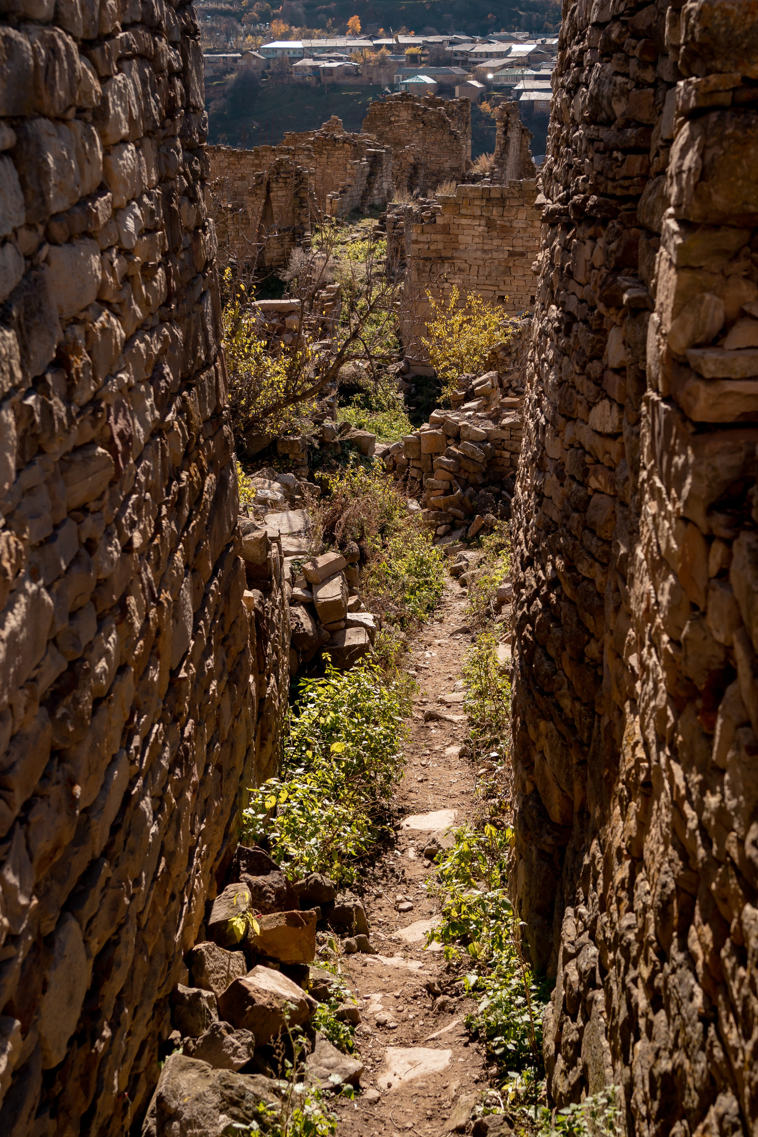 Дагестан. Семейный фотограф Варвара Сорока в городе Москве