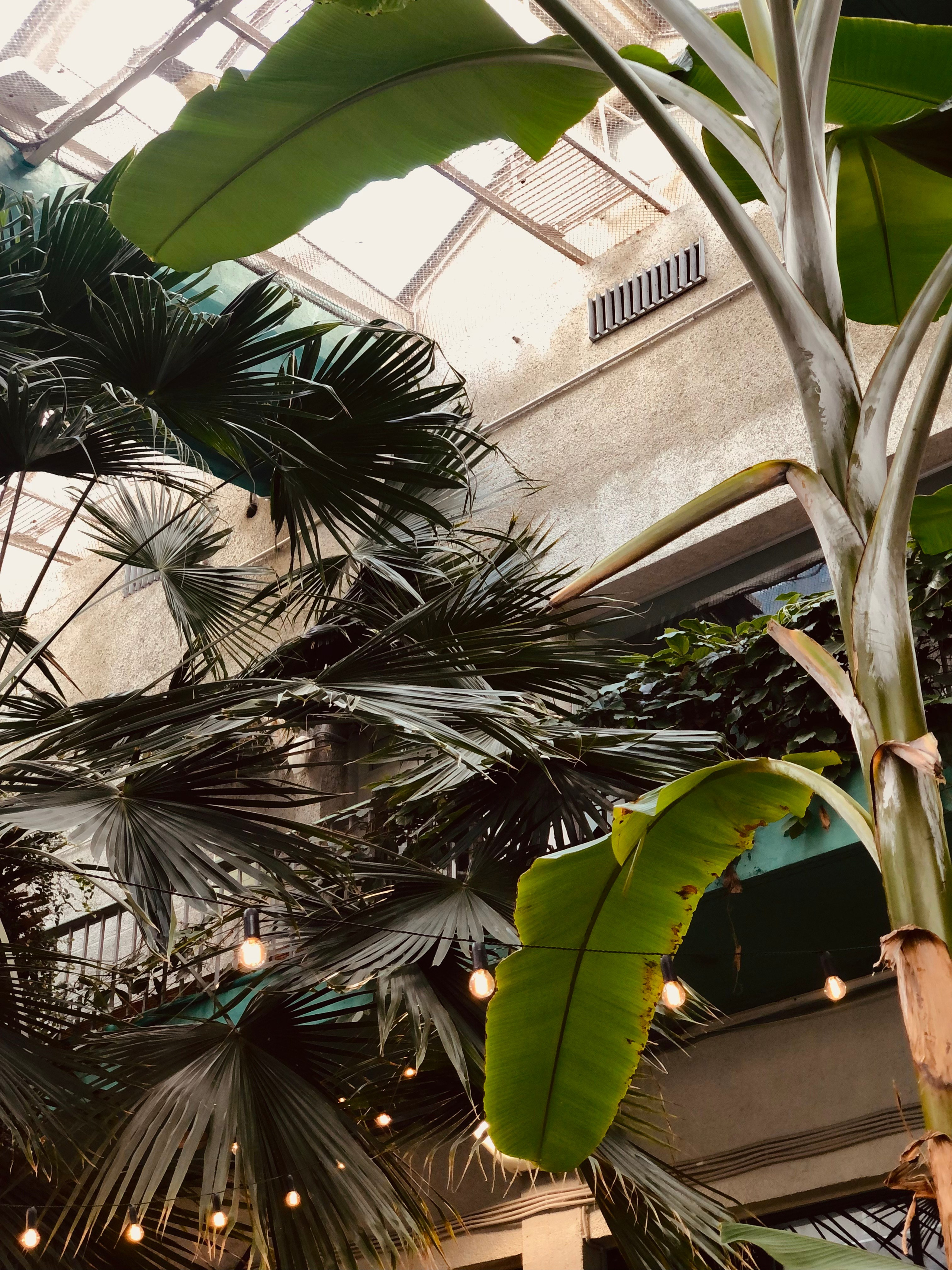 Октябрь. Семейный, Свадебный фотограф СПБ Питер— Романова Екатерина