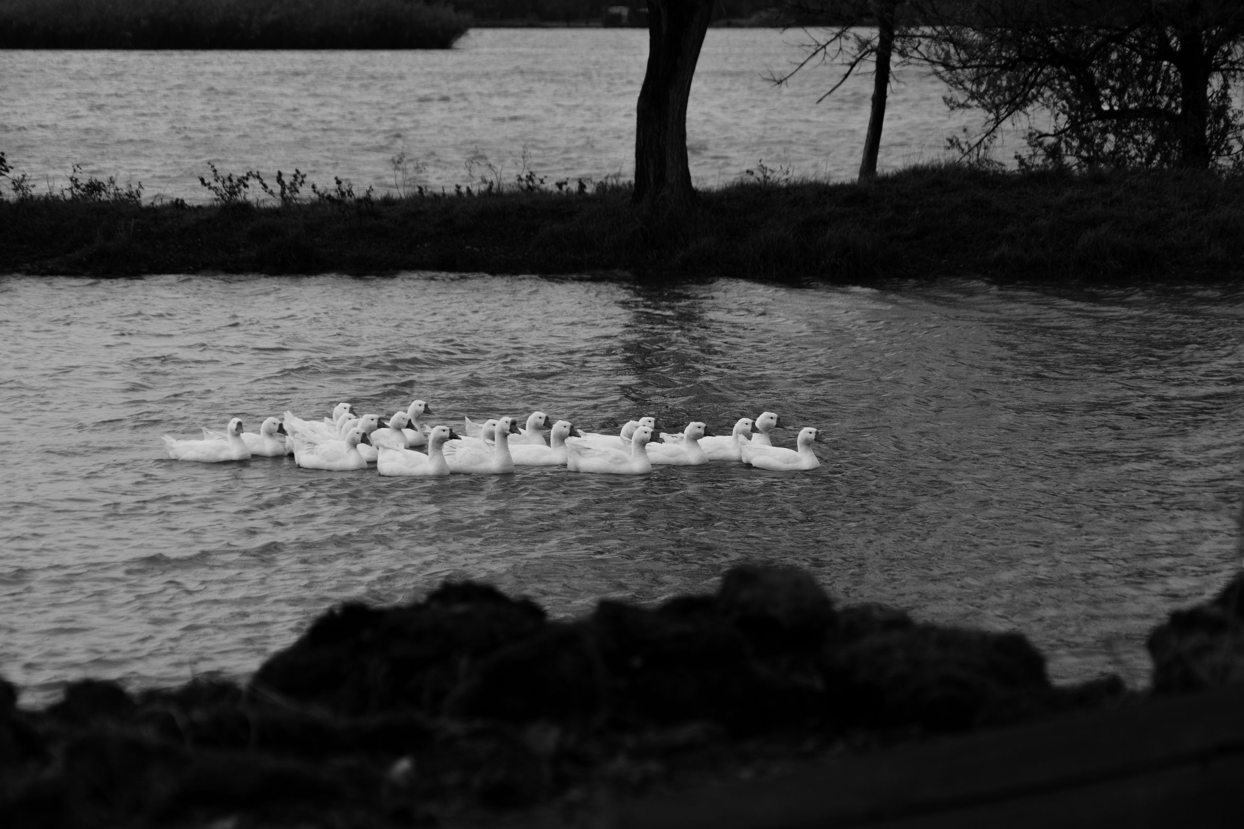 Бекстейдж сьемки кино. Профессиональная съемка в Алматы