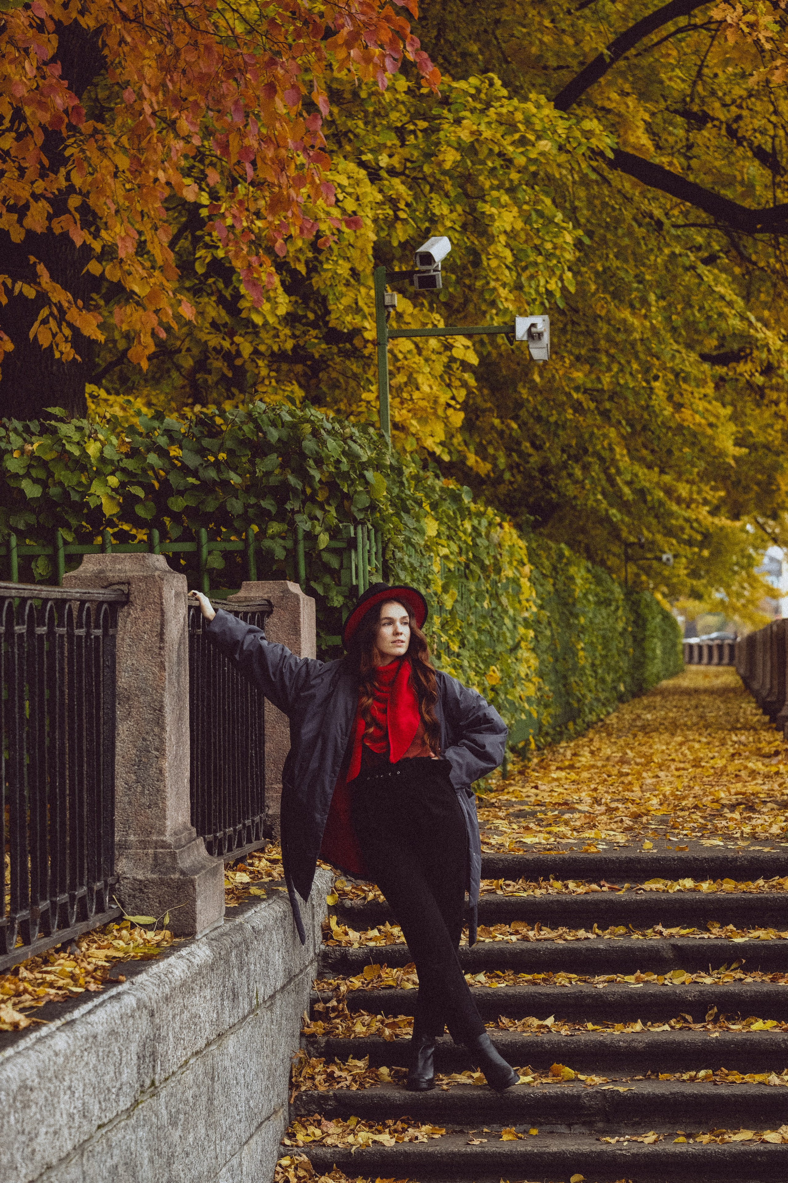 Осень. Профессиональный фотограф, Санкт-Петербург — Виктория Богомолова
