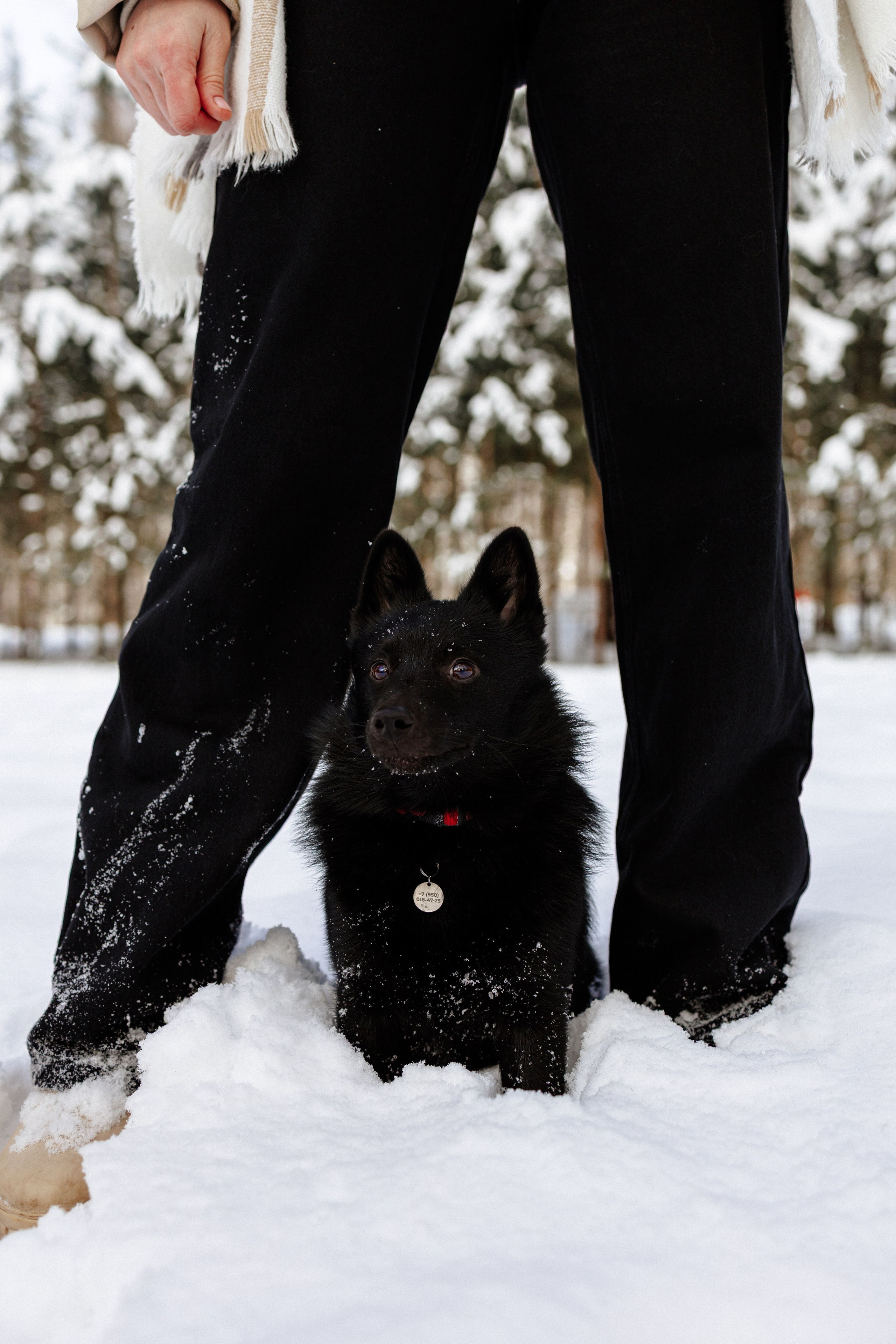 Юлия и Кит. Фотограф в Санкт-Петербурге Алёна Губинская