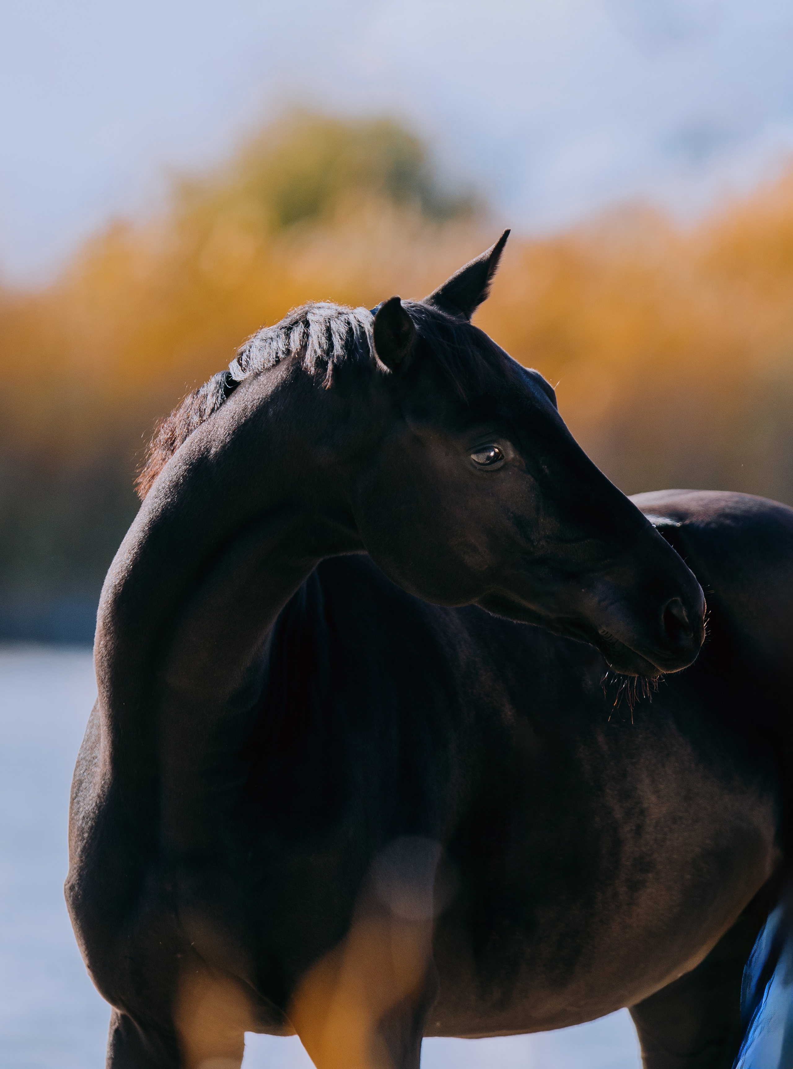 На природе. Фотограф-анималист Ксендзова Кристина