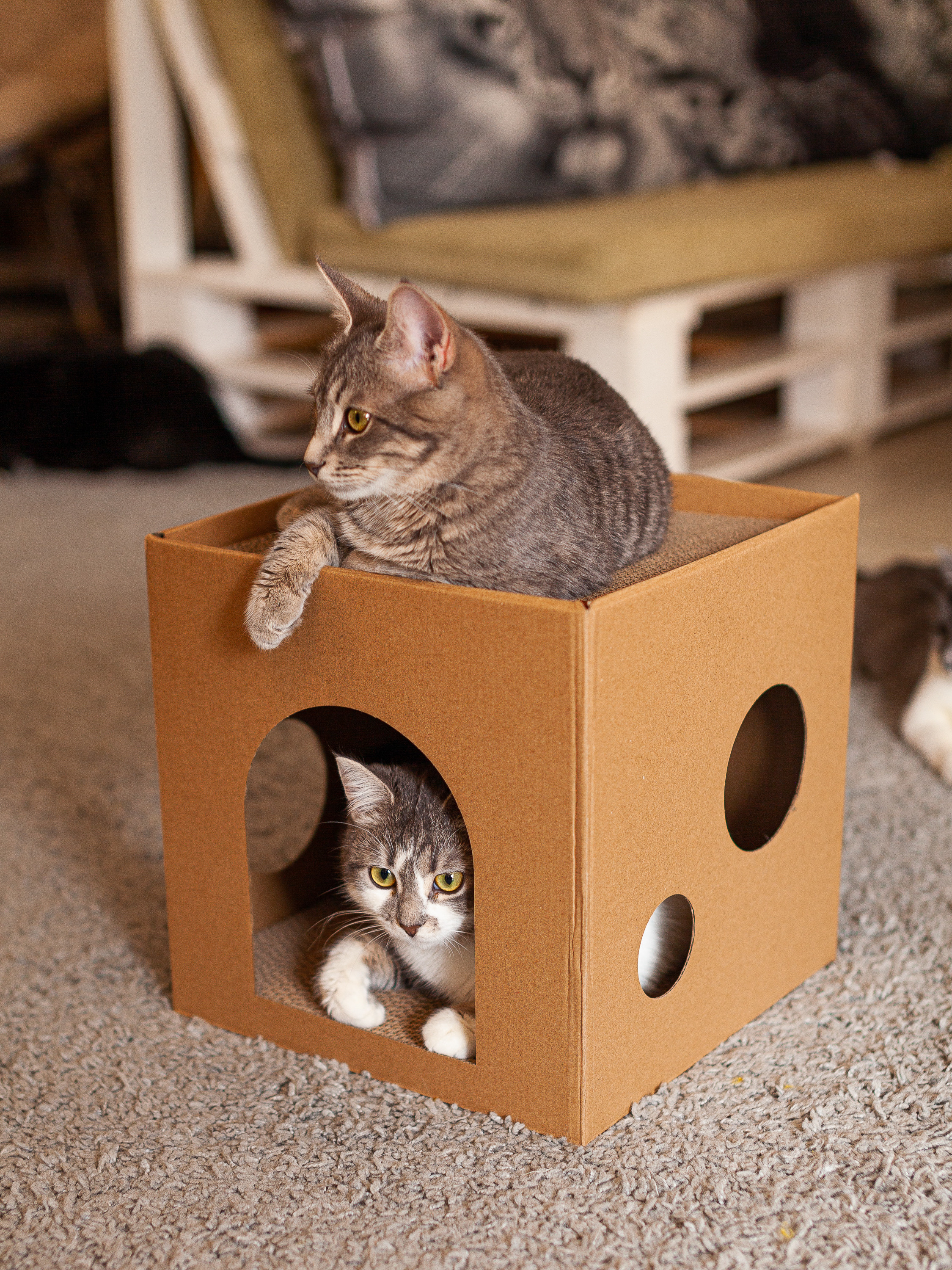 Предметная съемка товаров для Wildberries и Ozon