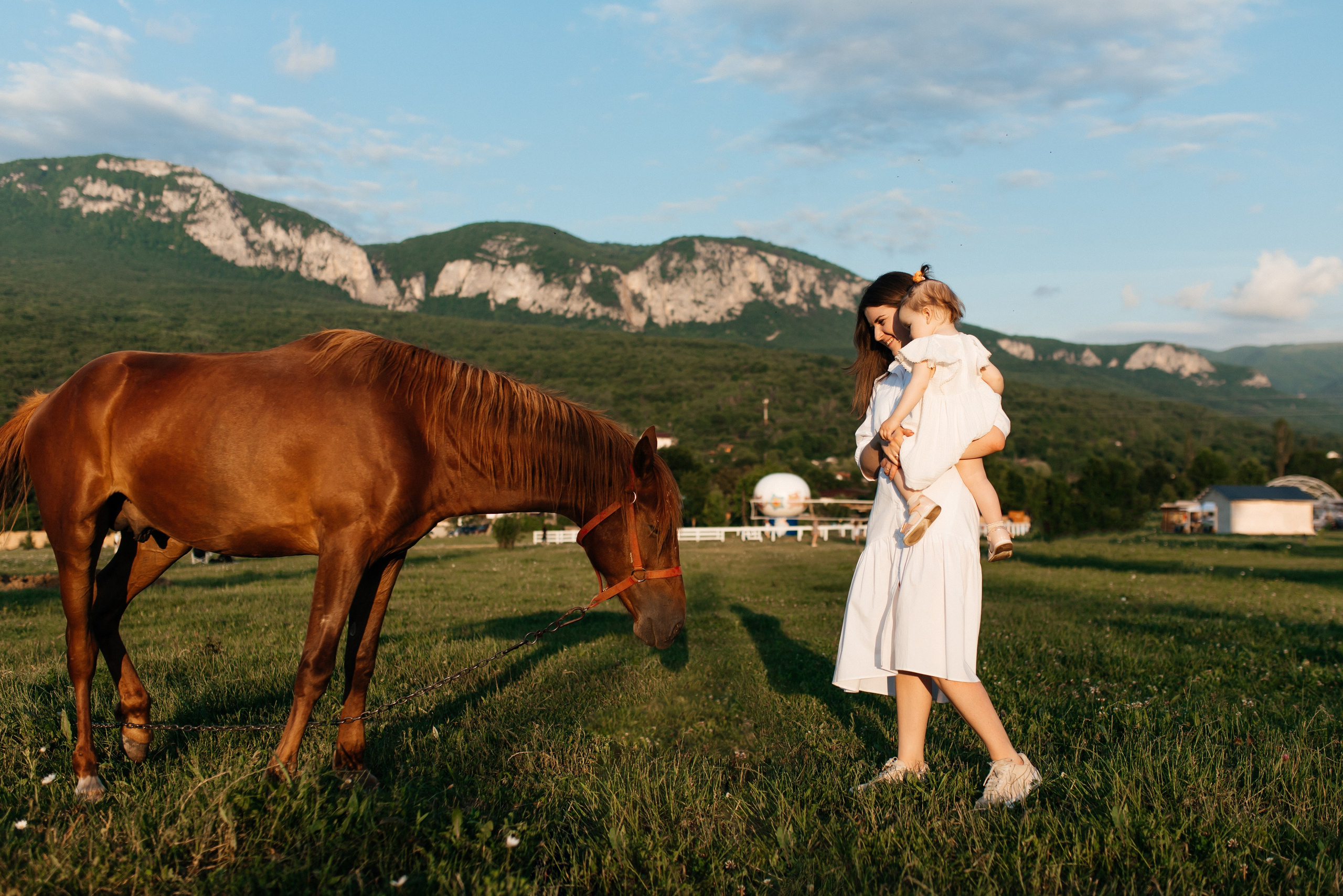 Rose. ФОТОГРАФ