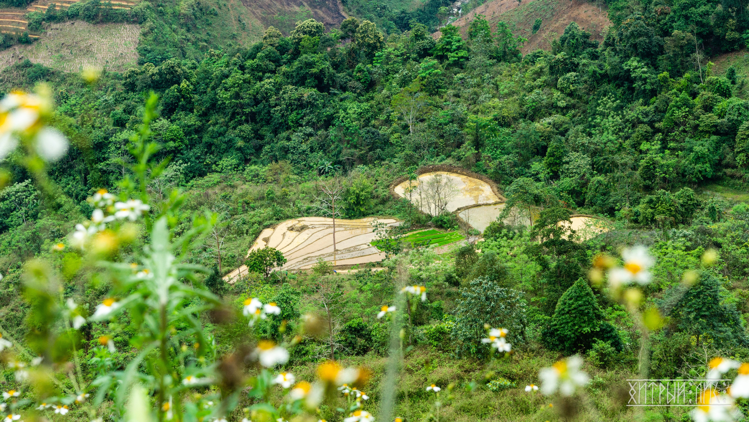 Вьетнам. Фотограф-путешественник Самойлов Максим «Sly Fox»