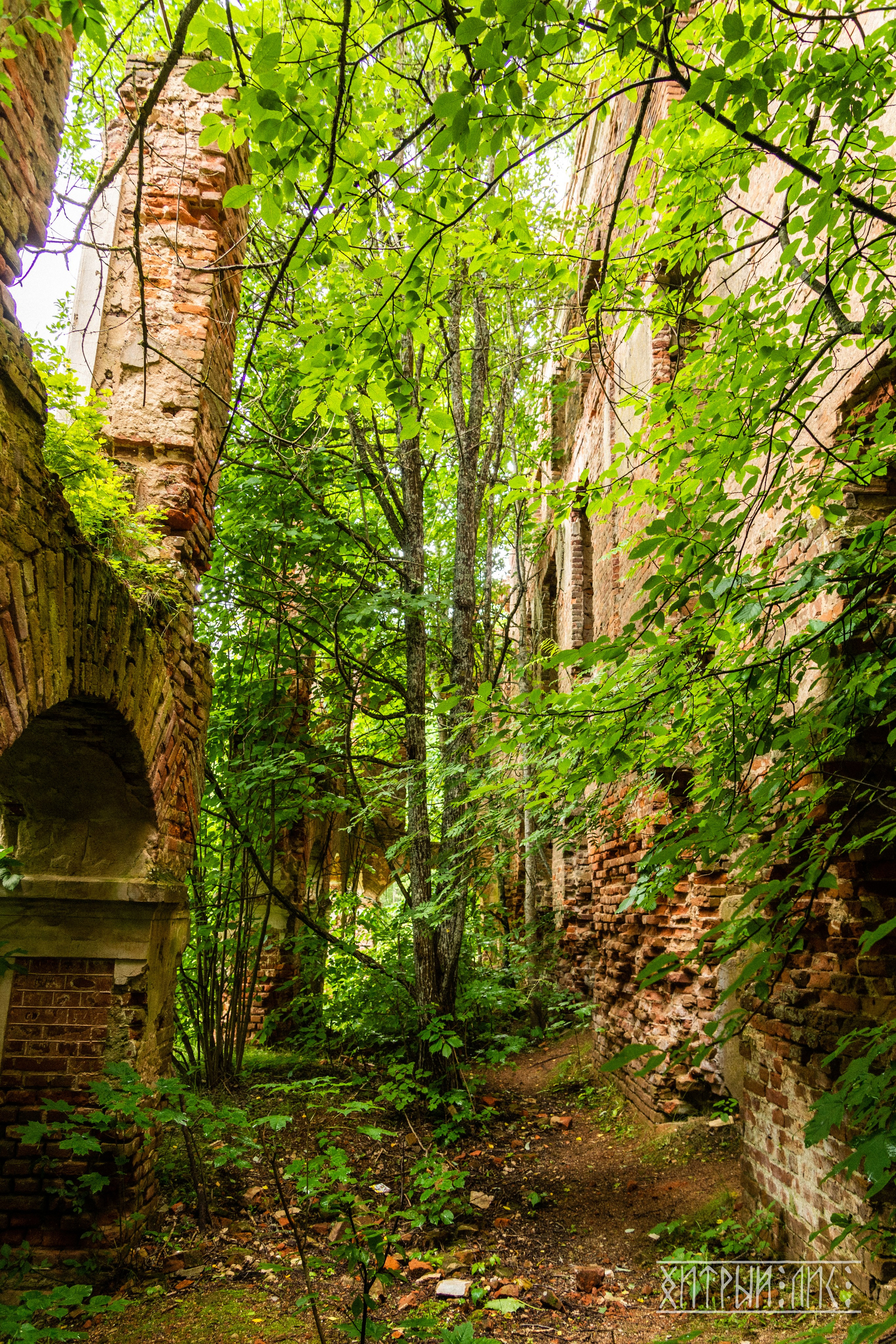 Беларусь. Фотограф-путешественник Самойлов Максим «Sly Fox»