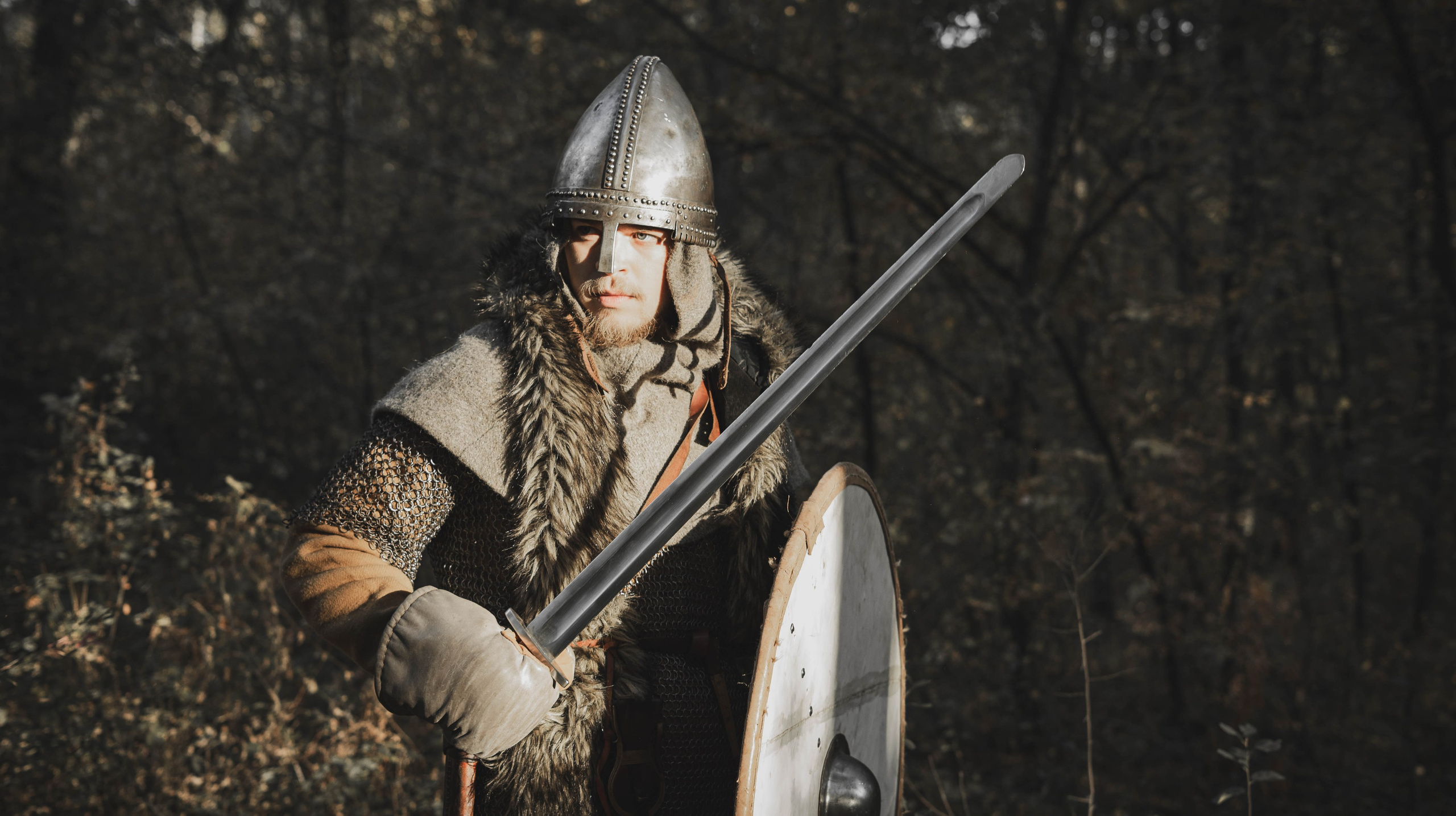 Викинг. Ab extra