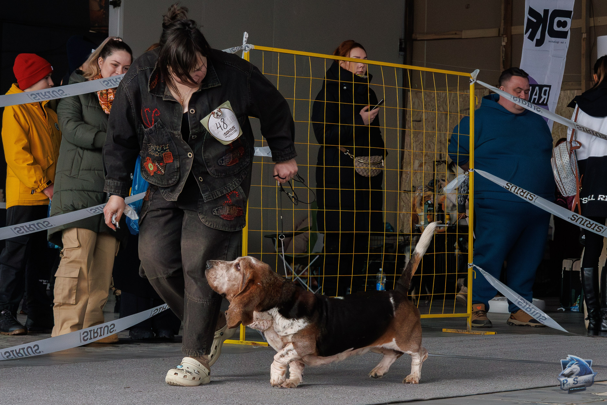 Выставки. Фотограф Марк Файзулин