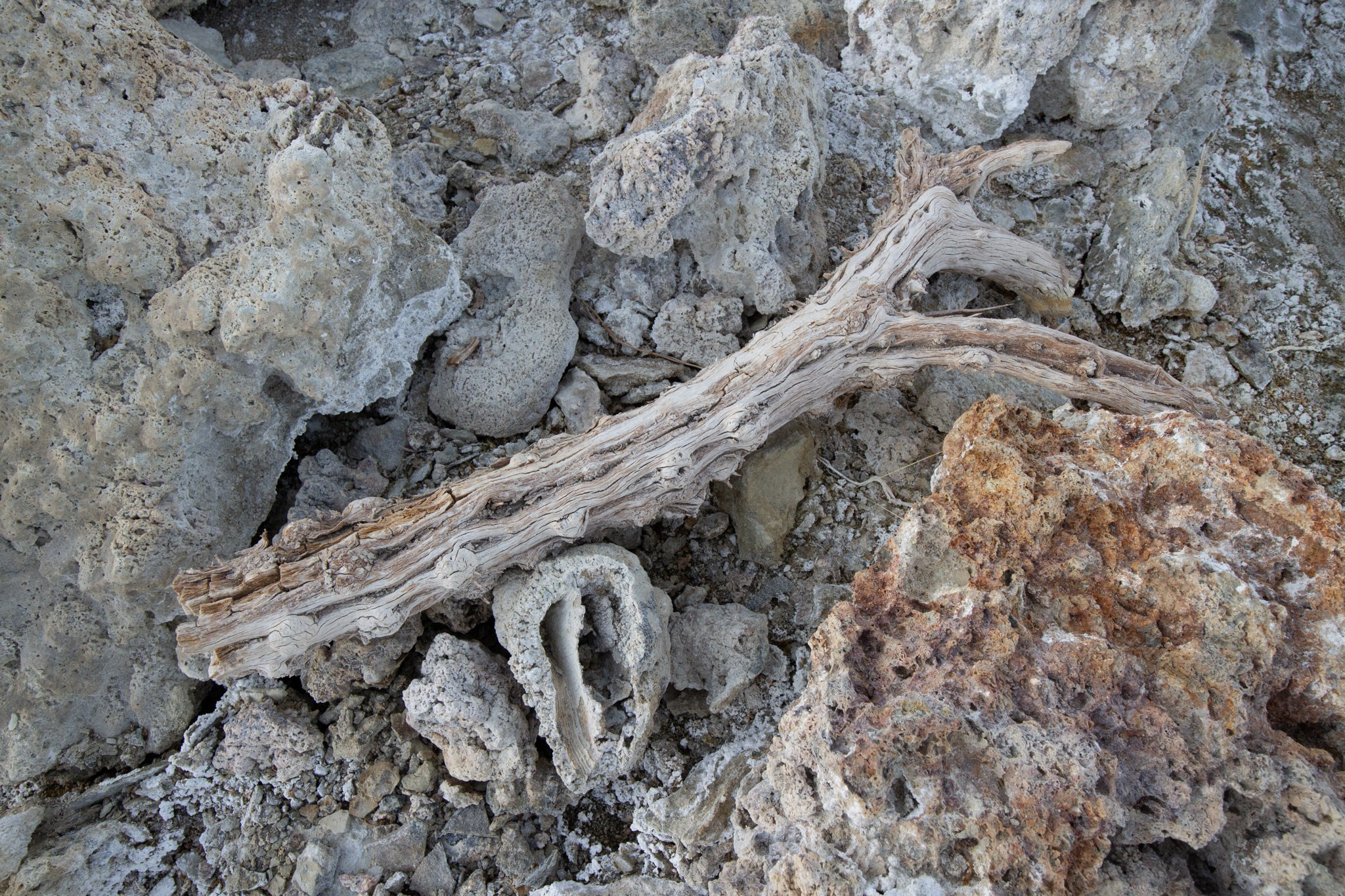 Озеро МОНО, США, 2013. Фотограф Василий Буланов