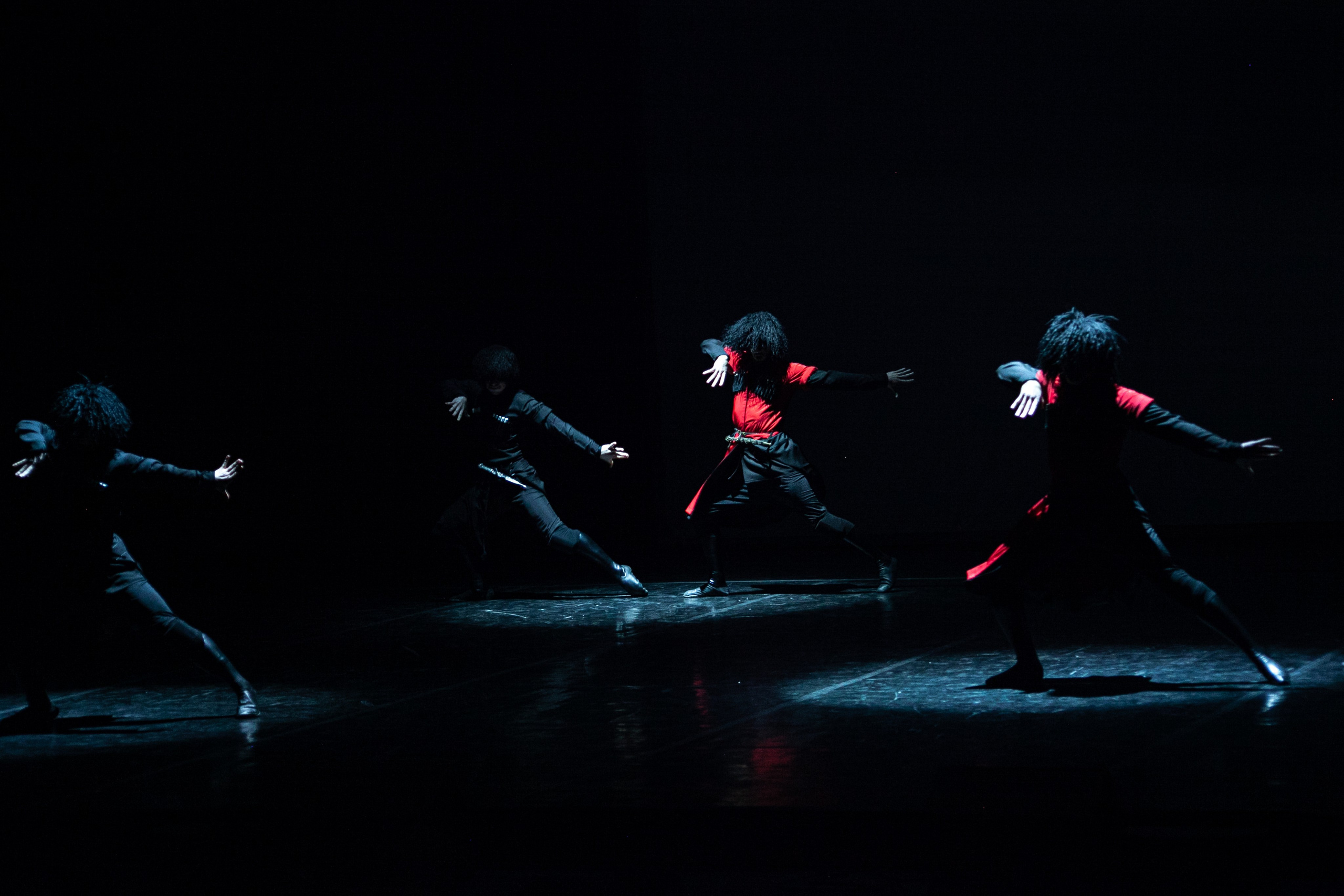 Концерт, грузинские танцы. Art photographer Nino