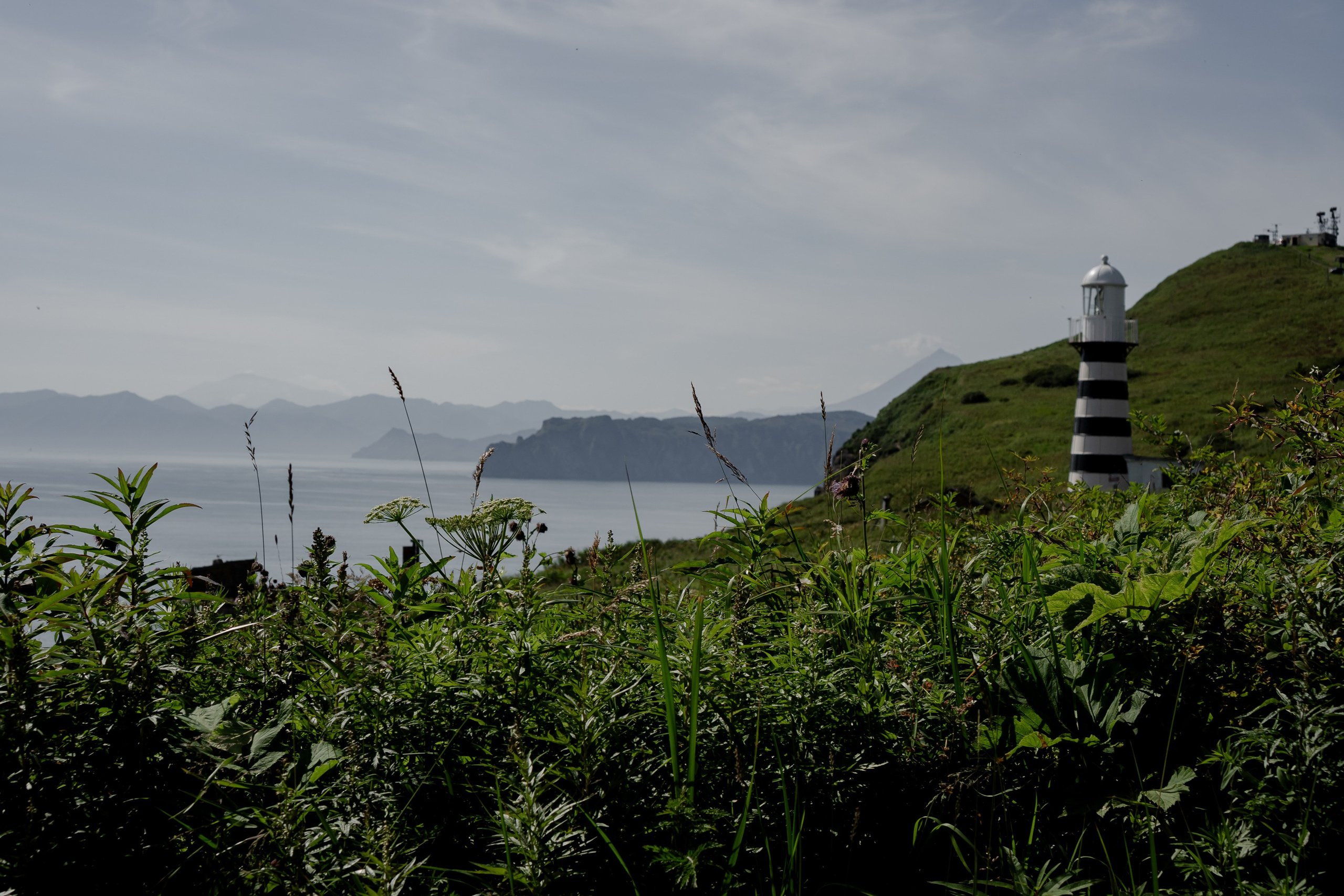 Мыс Маячный на Камчатке. Профессиональный фотограф, Санкт-Петербург — Виктория Богомолова