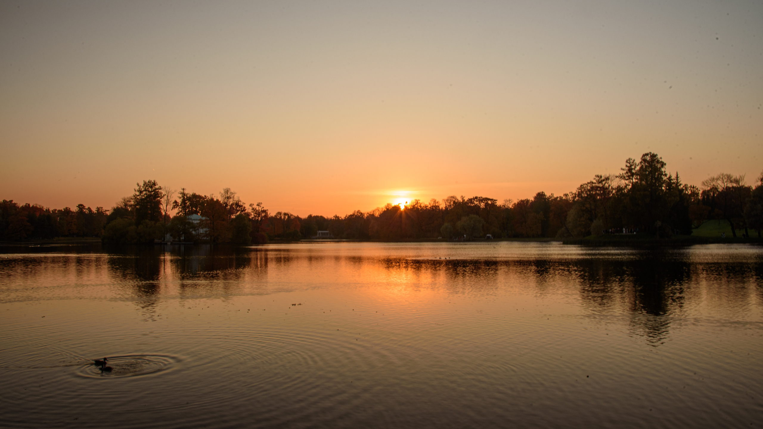 Оксана и Михаил. Портретный Семейный Fine-Art фотограф в Санкт-Петербурге Криулина