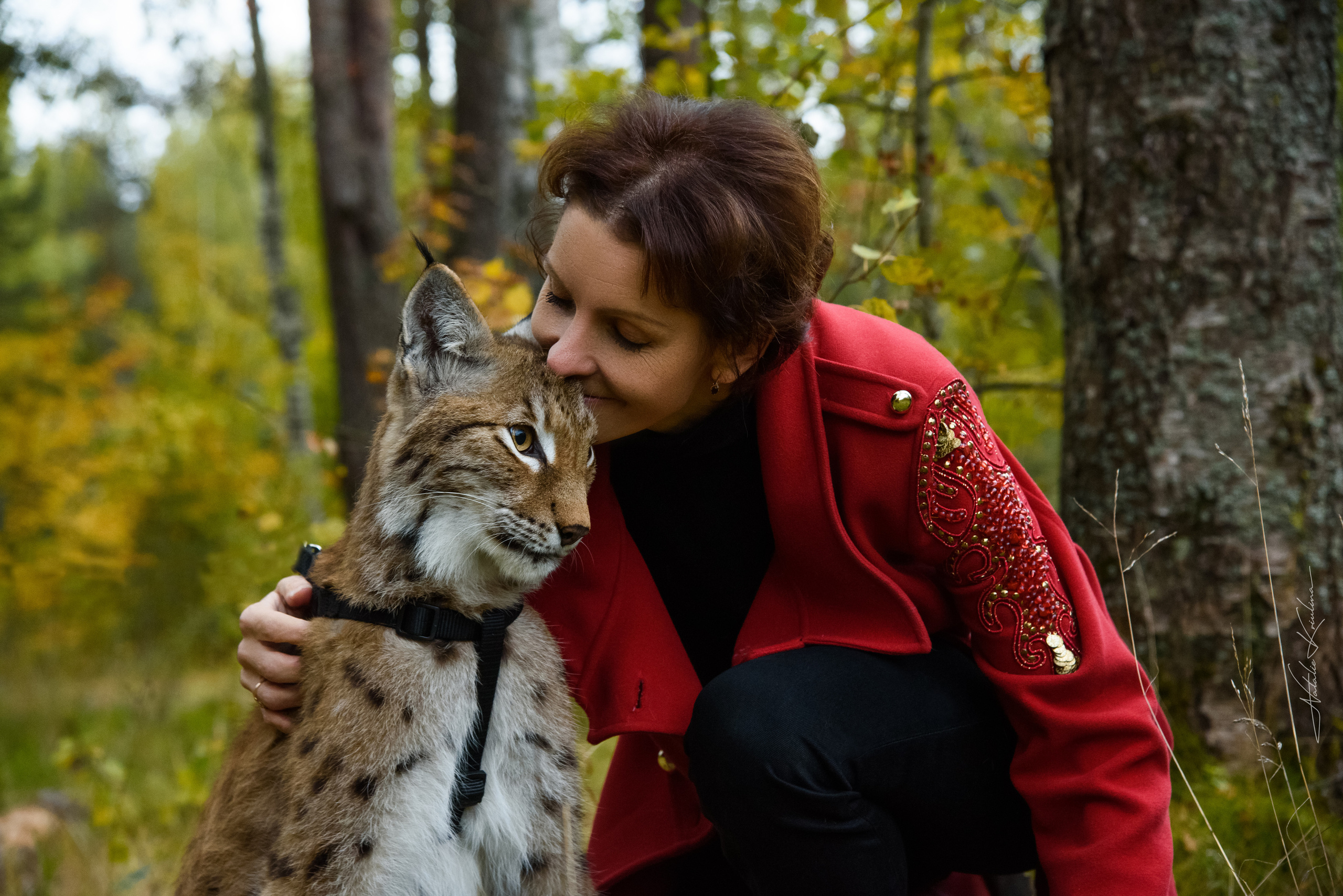 Прогулка в лесу с Фреей. Портретный Семейный Fine-Art фотограф в Санкт-Петербурге Криулина