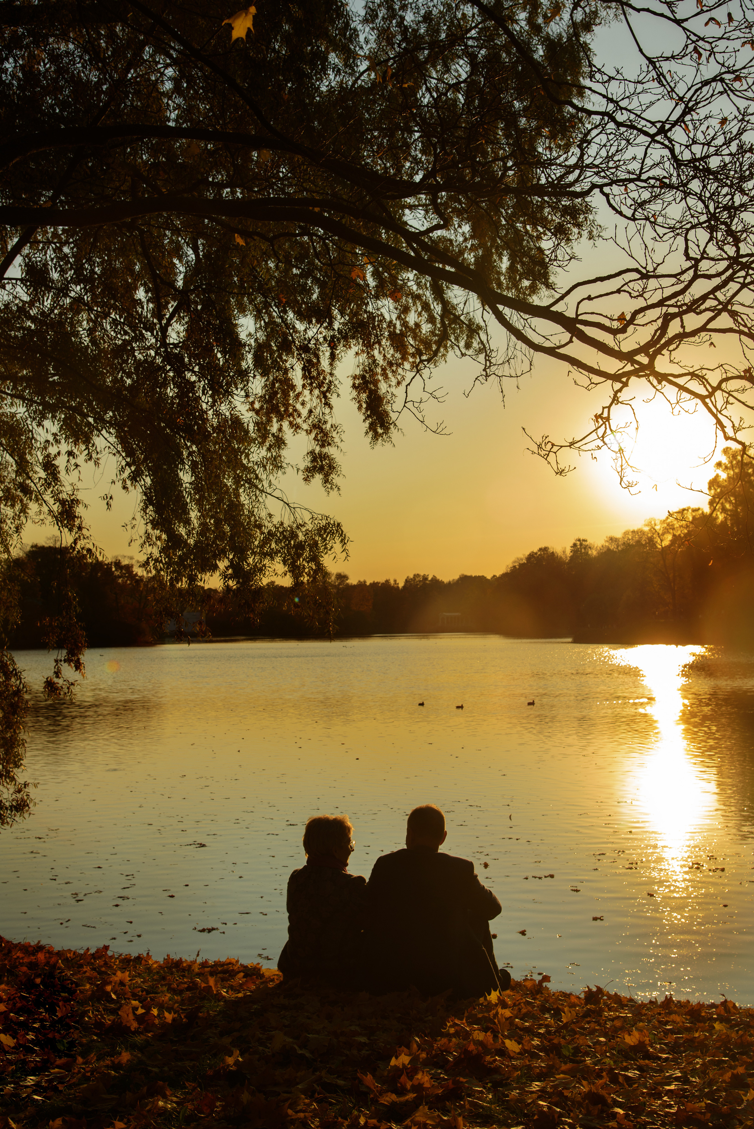 фотопрогулка семейная пара на берегу реки наблюдают закат город Пушкин 