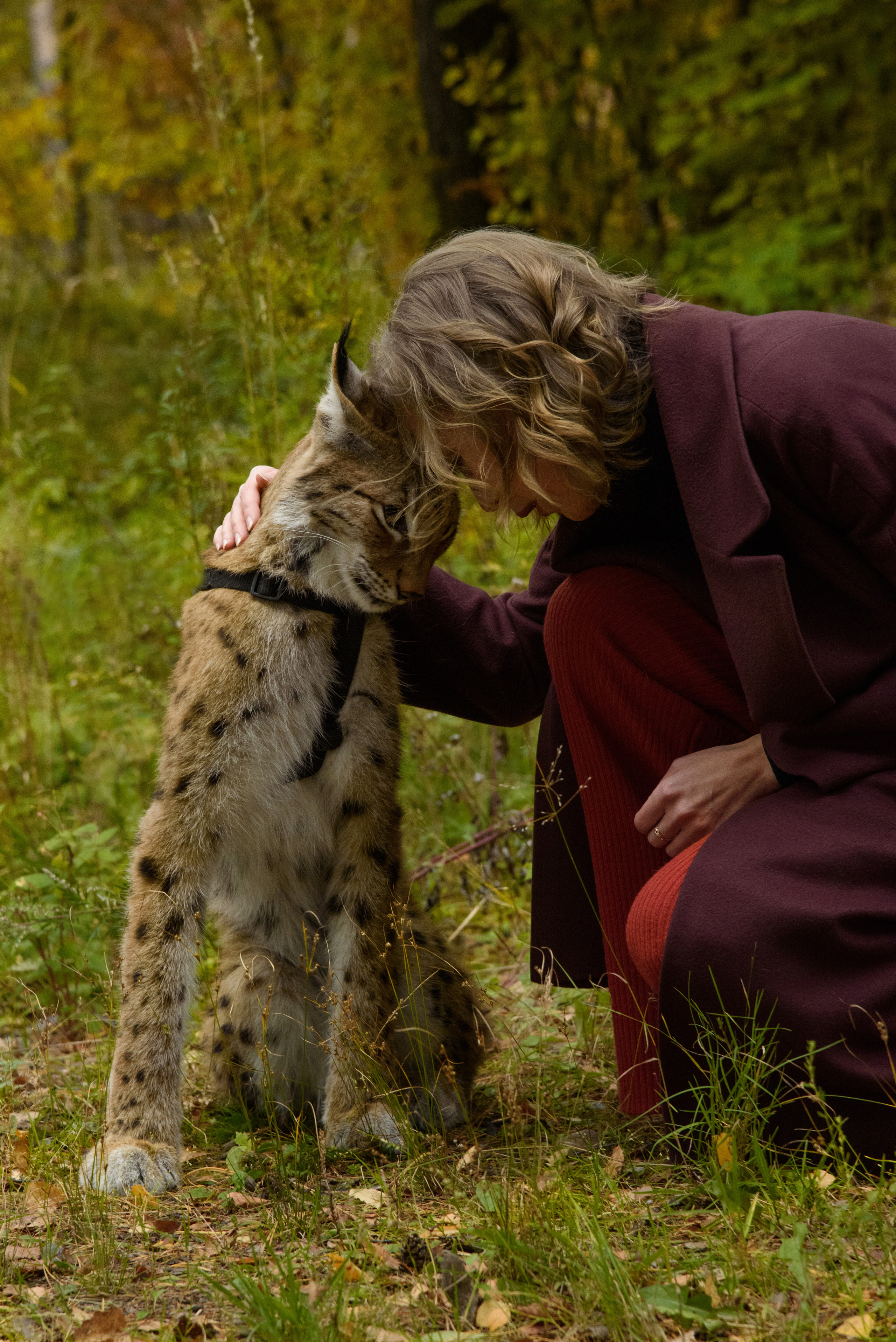 Прогулка в лесу с Фреей. Портретный Семейный Fine-Art фотограф в Санкт-Петербурге Криулина