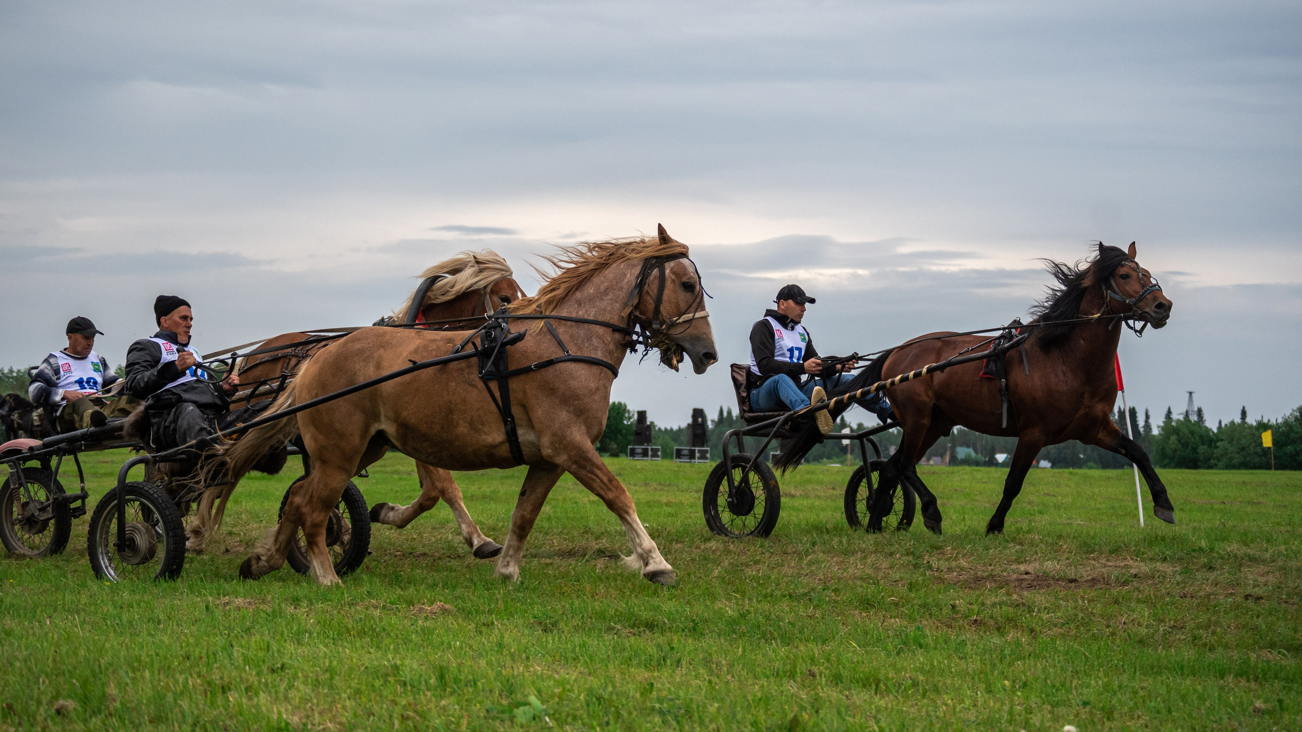 Луд 2023. Фотограф в с. Ижма Республика Коми Терентьев Сергей