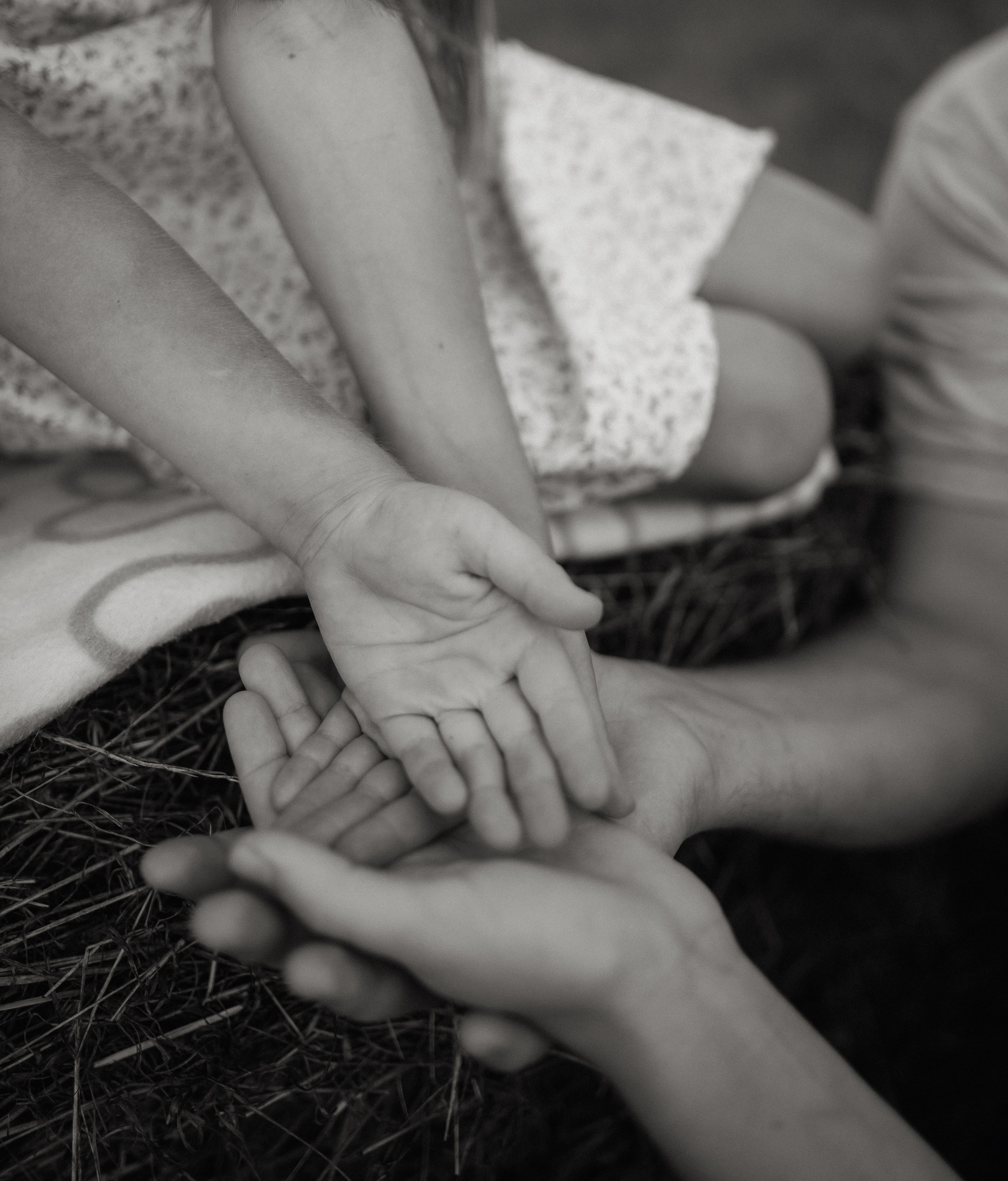 Поле. Семейный и женский фотограф Вероника Никкор