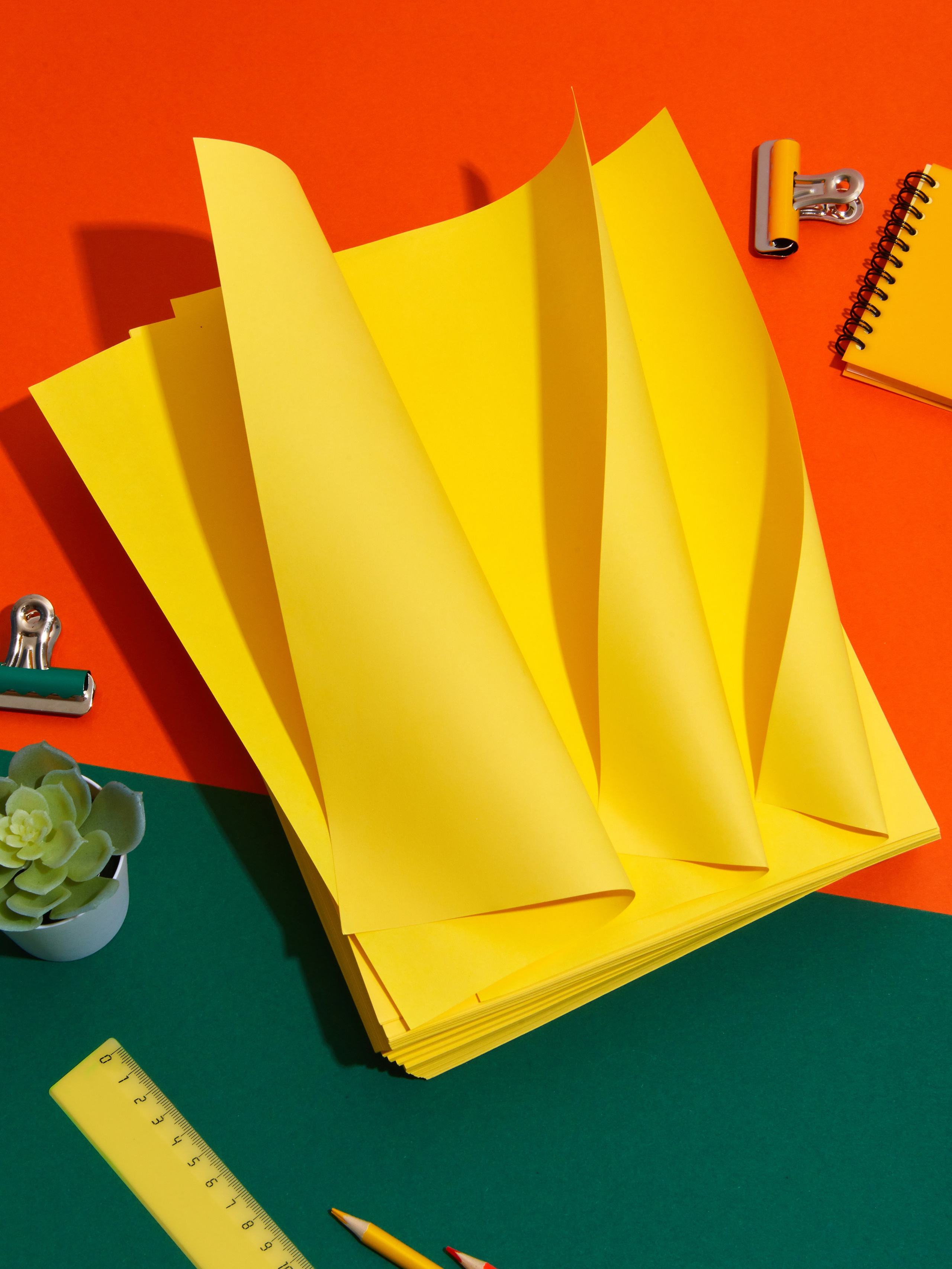 Komus. Aleksandra Egorova photo