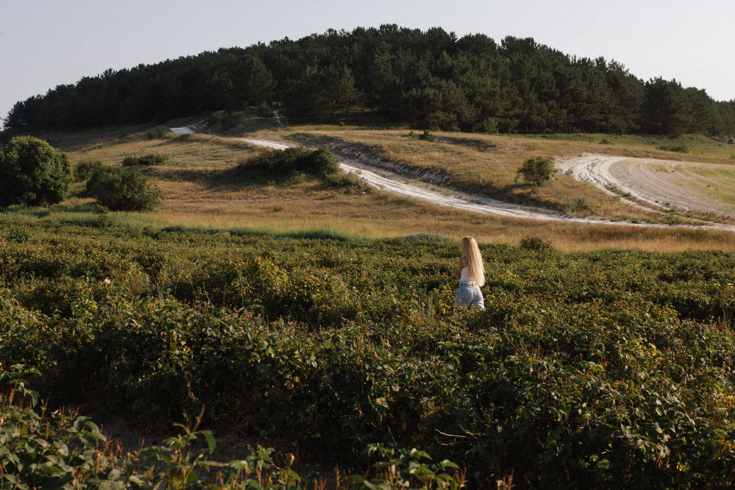 Настроение - май!. Алена Орлова | Фотограф | Севастополь