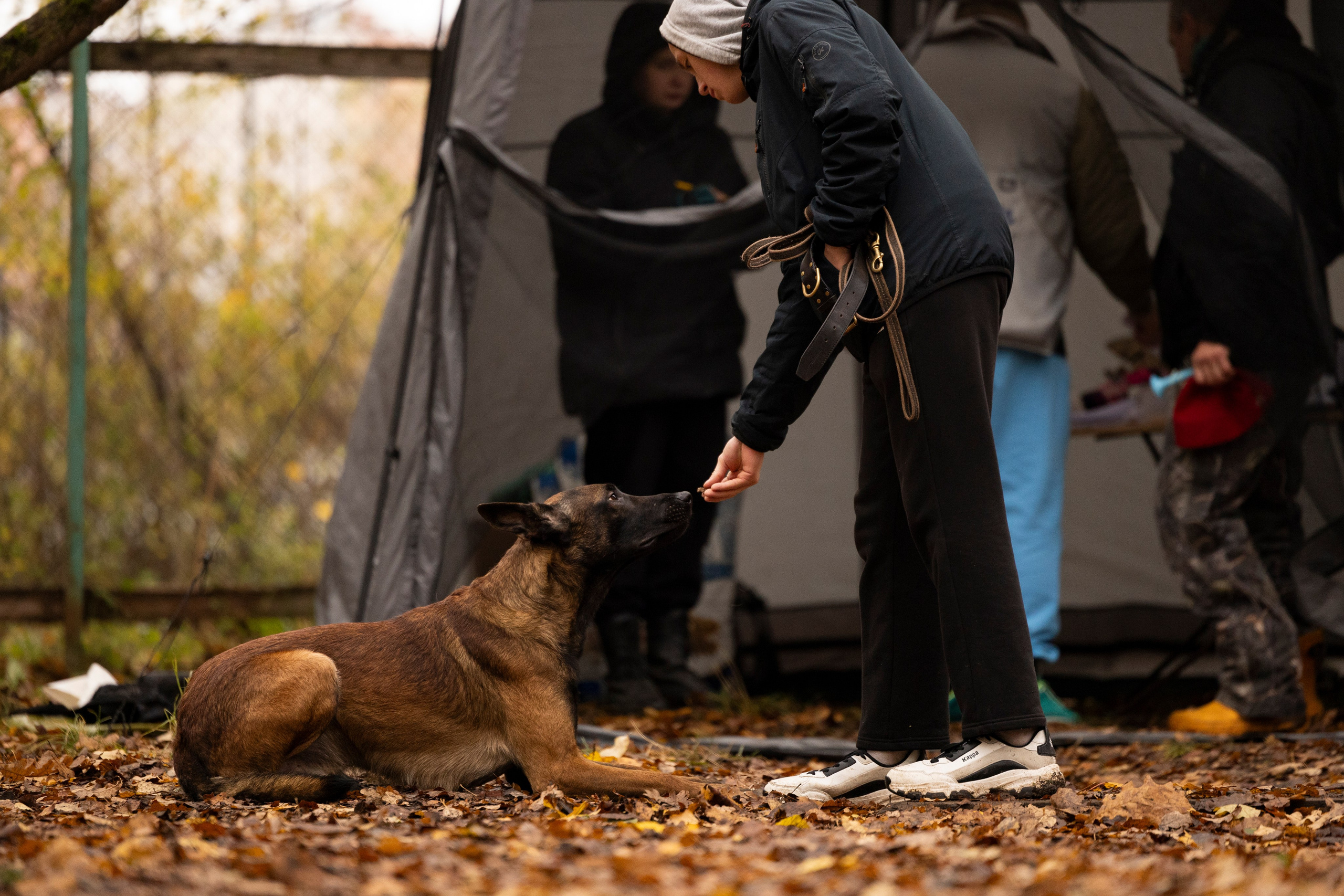 Соревнования по Мондьорингу г. Вологда. Фотограф-анималист Анна Маринич