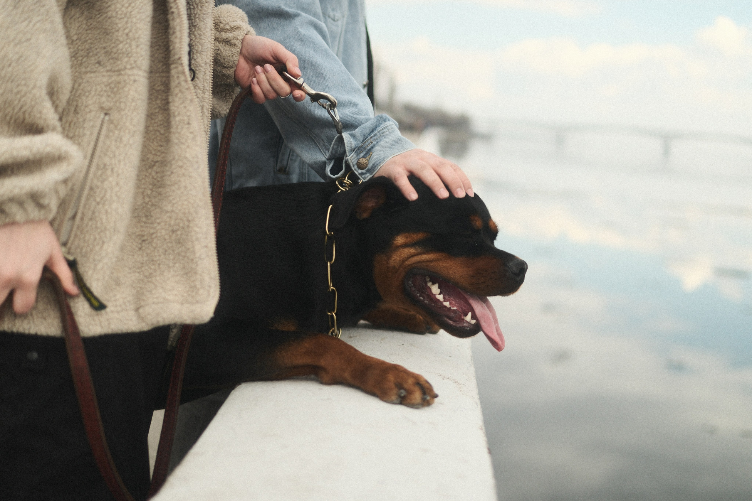 Прогулка с Цацей. Фотограф/Видеограф из Саратова