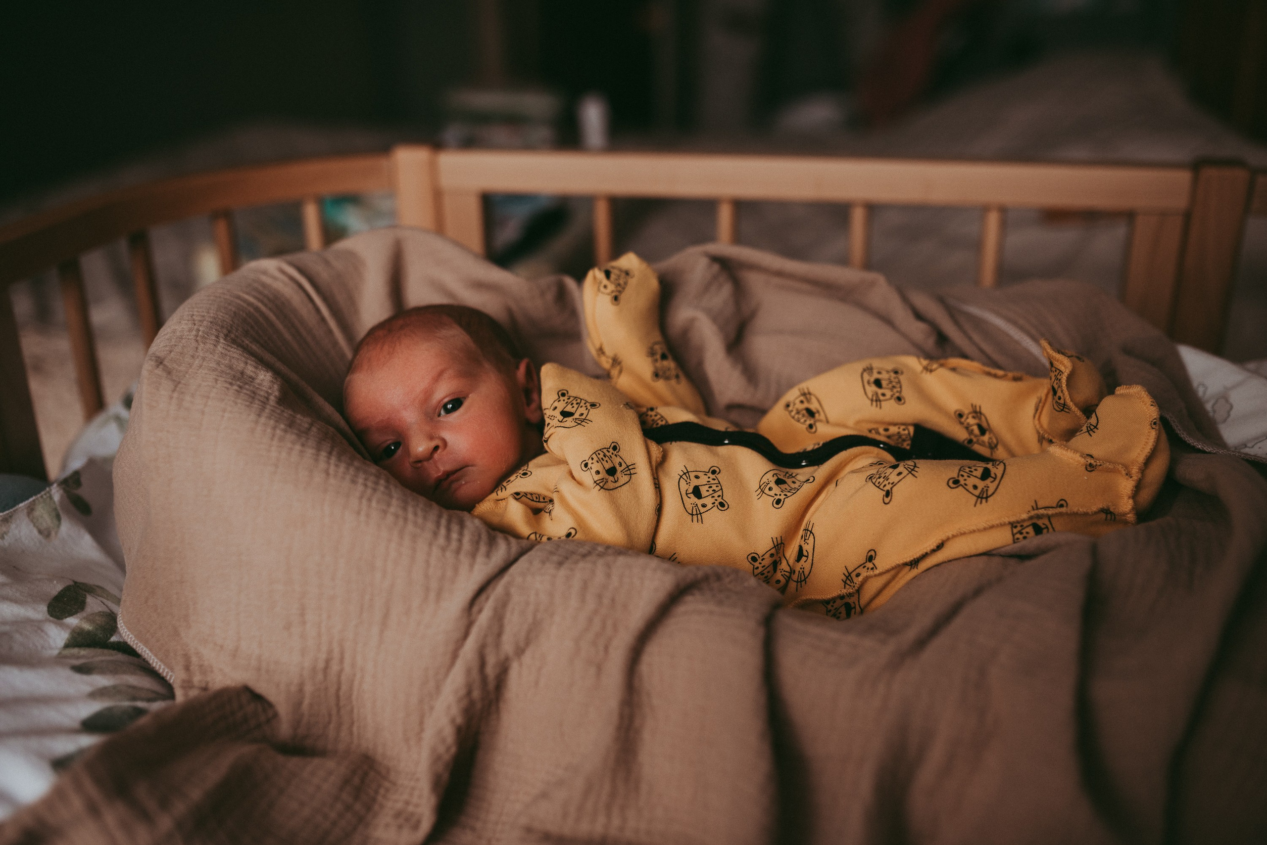 Маленький космос. Семейный и детский фотограф в Новосибирске и Краснообске — Анна Ким