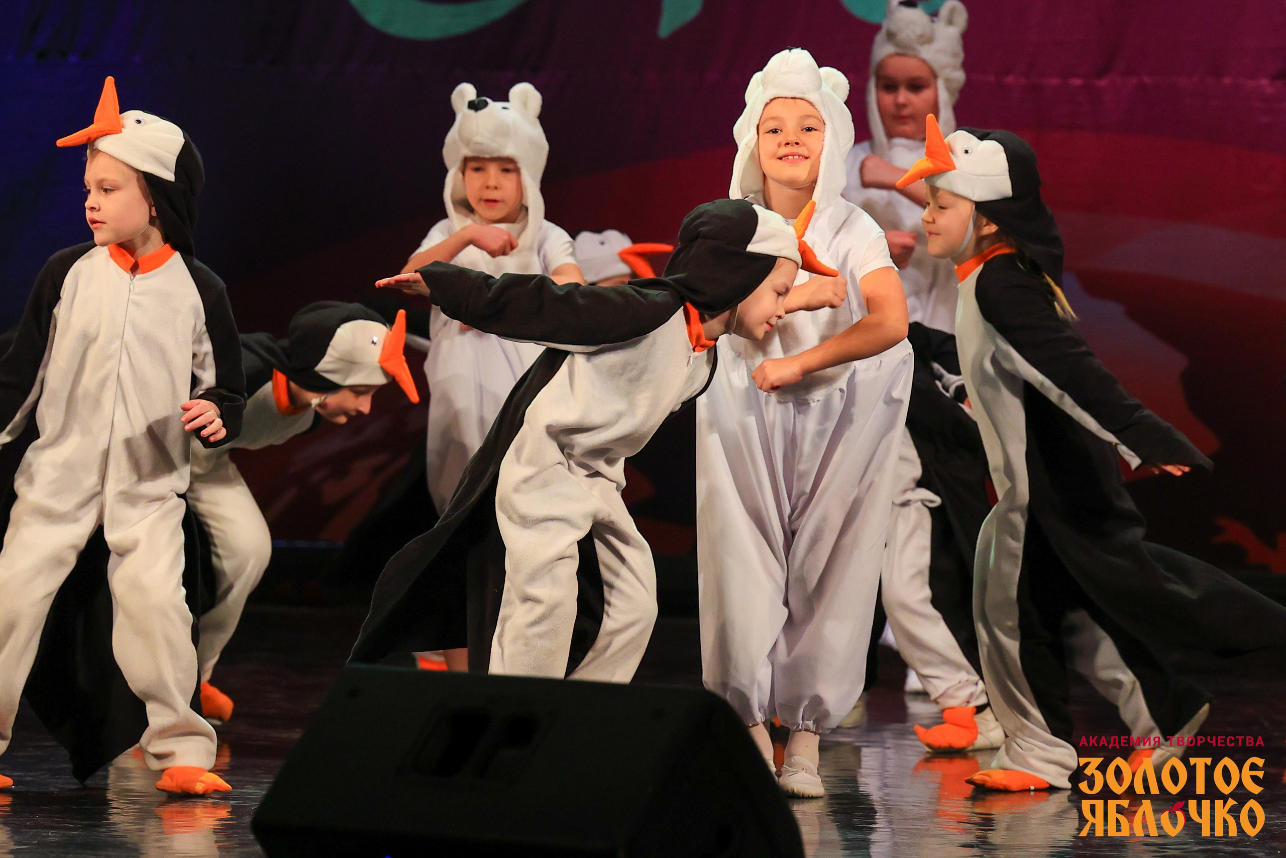 7 февраля, г. Петрозаводск. Золотое яблочко