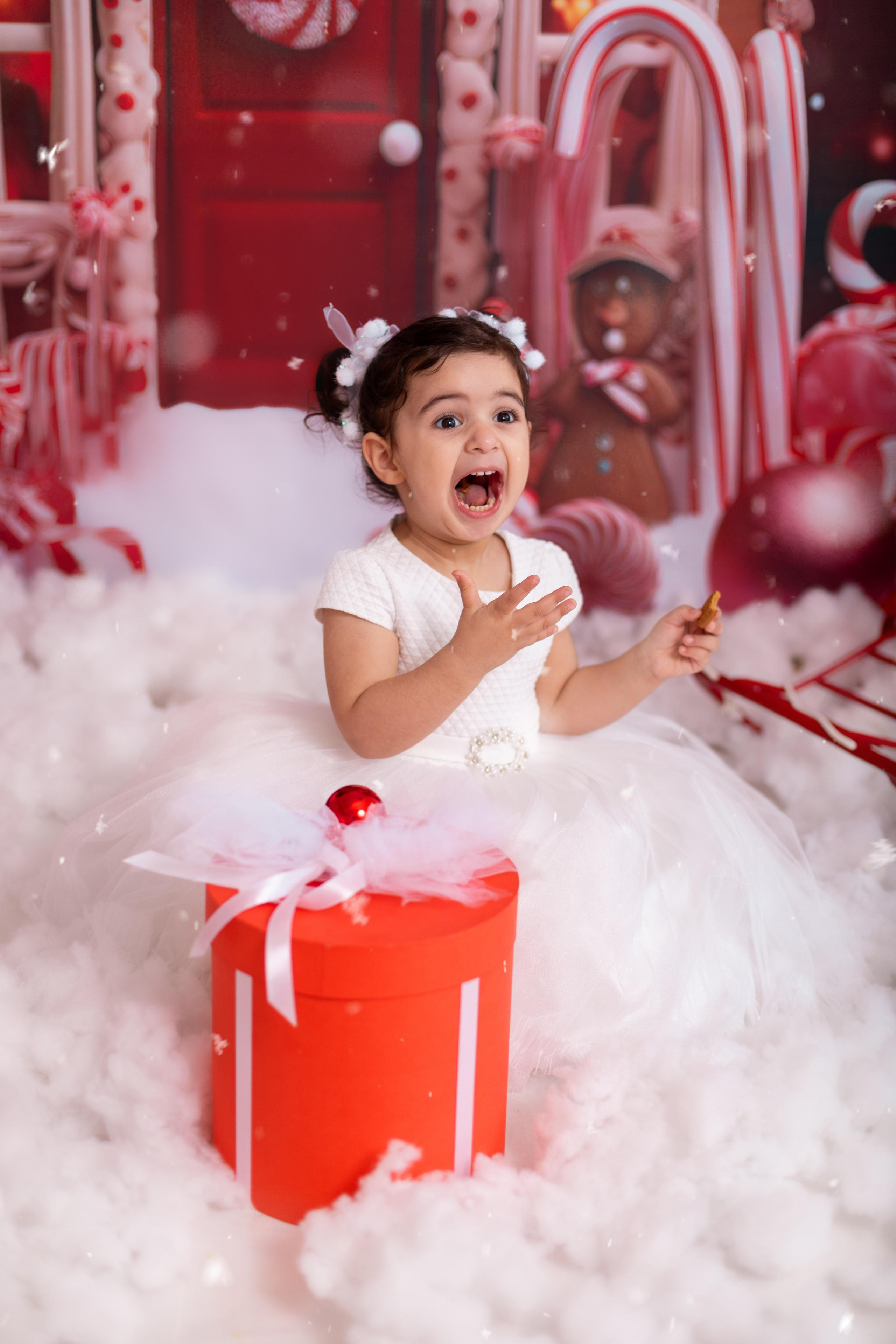 Новый год. Фотограф новорождённых Псков