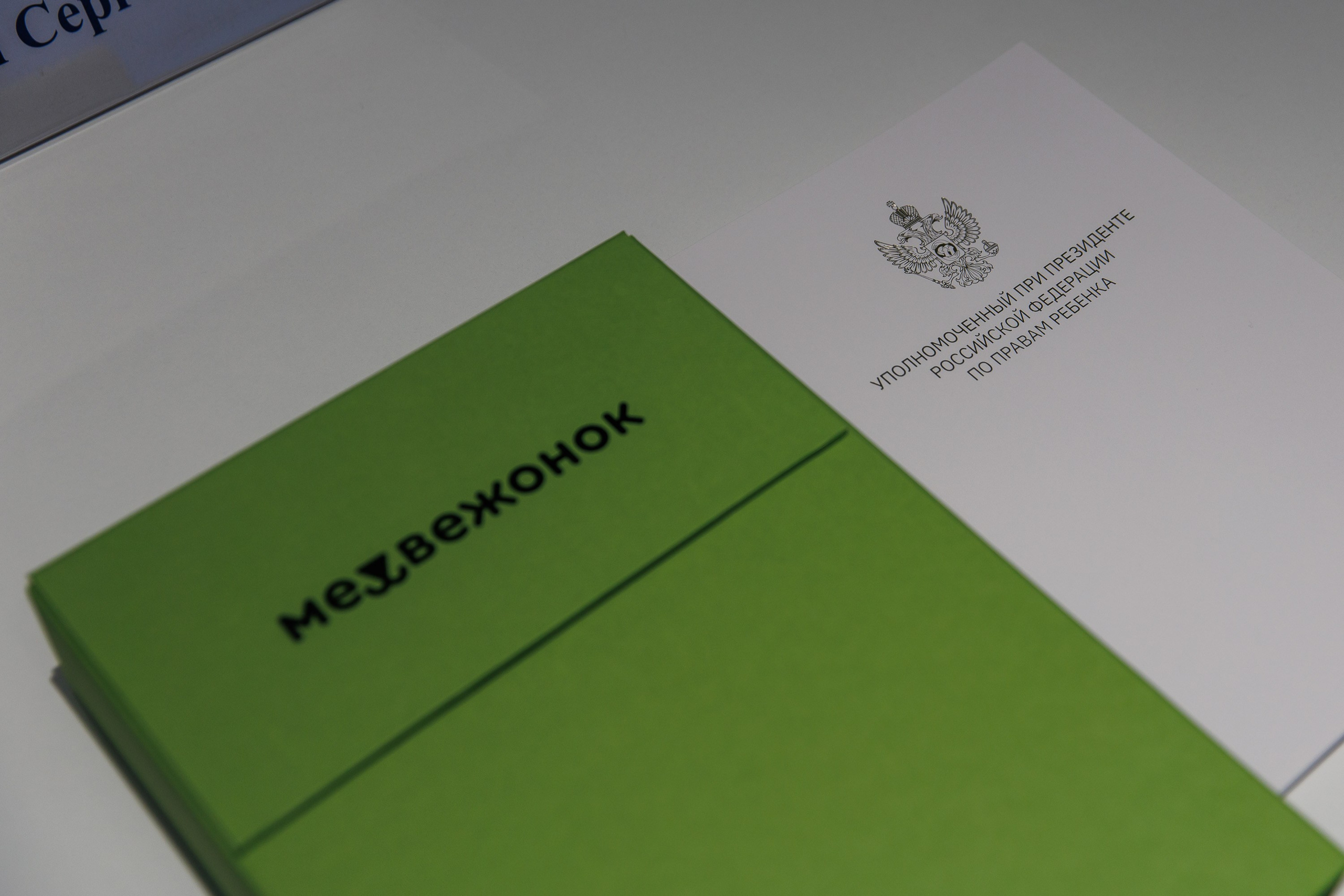 Экспертная дискуссия на тему: “Ответственный подход к созданию детского и семейного контента”. Photographer Danil Aykin