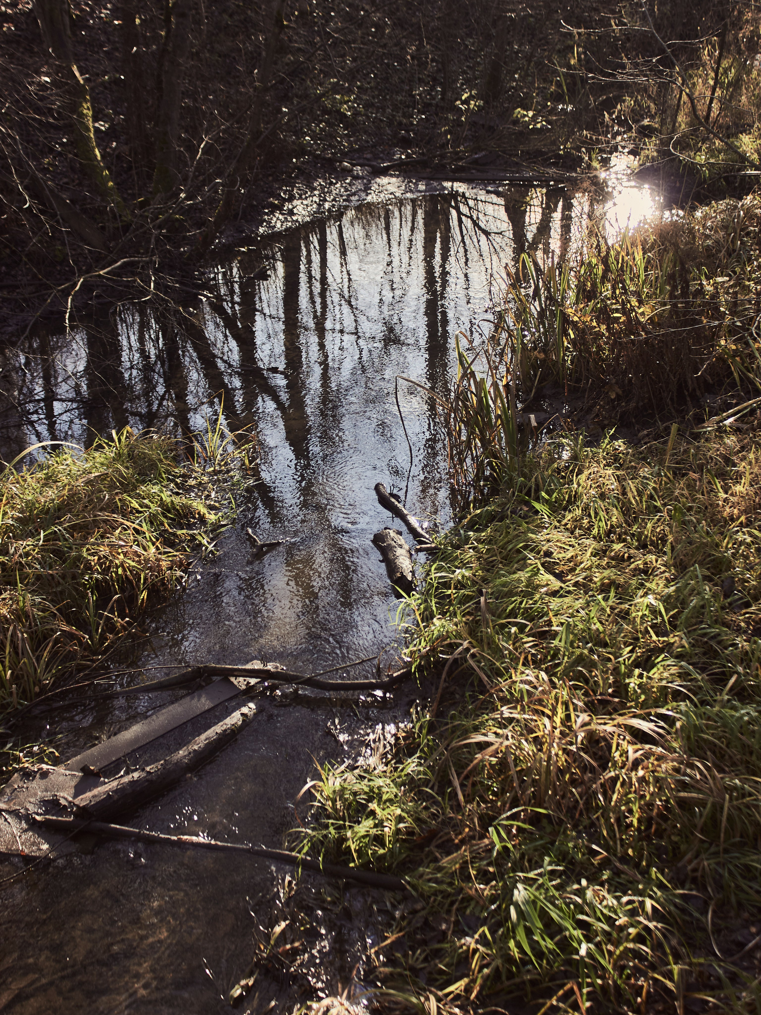 Ноябрьский призрак. Портретный фотограф из Москвы Комбар Елизавета