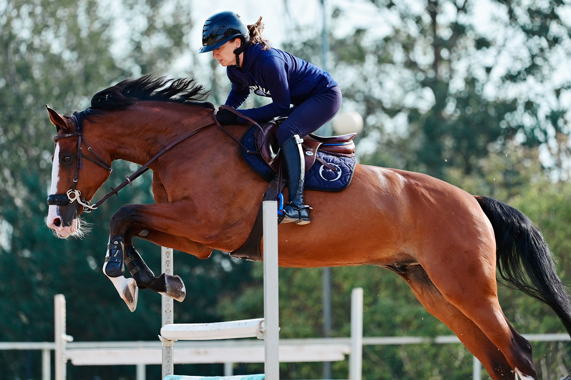 Тренировки. Конный фотограф Alesya Safe