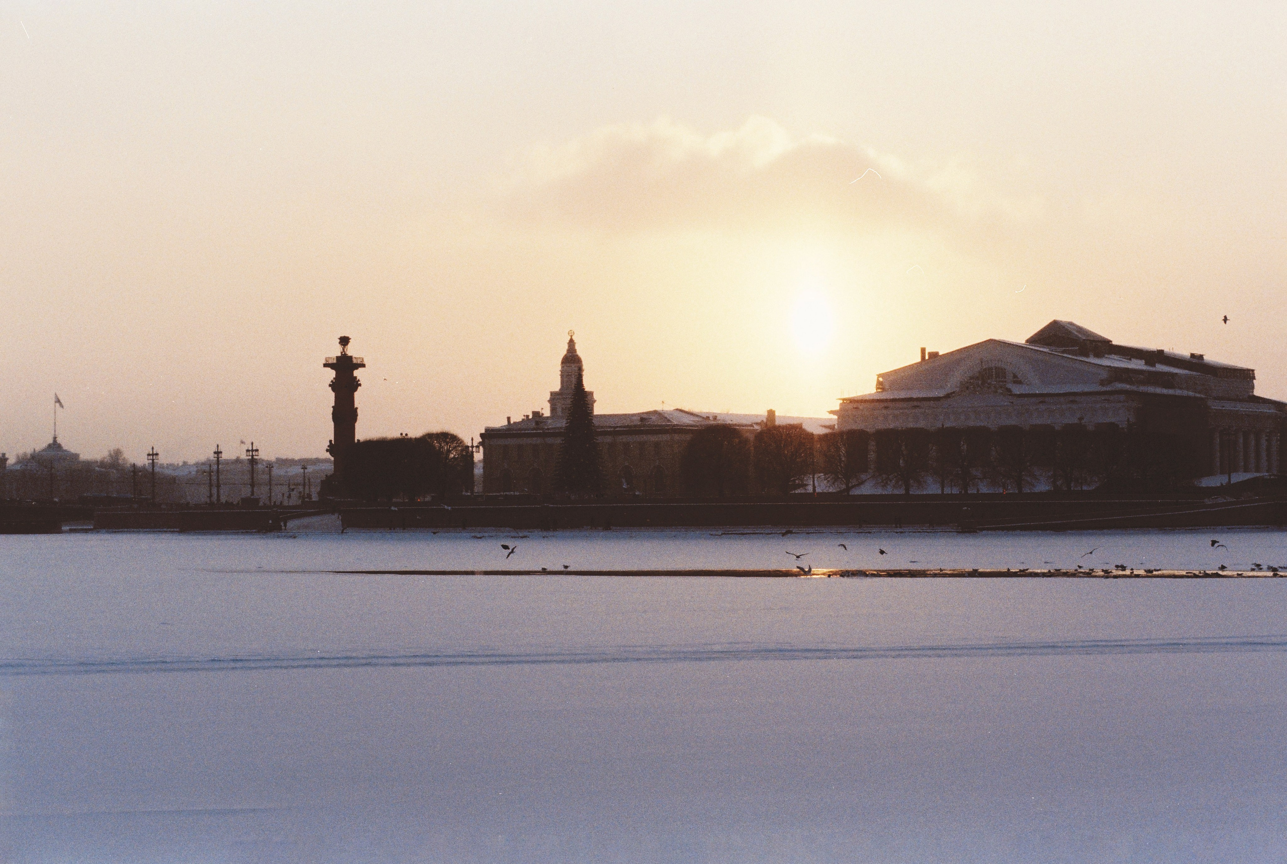 Фотографии цветные. Свадебный и семейный пленочный фотограф в Петербурге Истомина Ирина