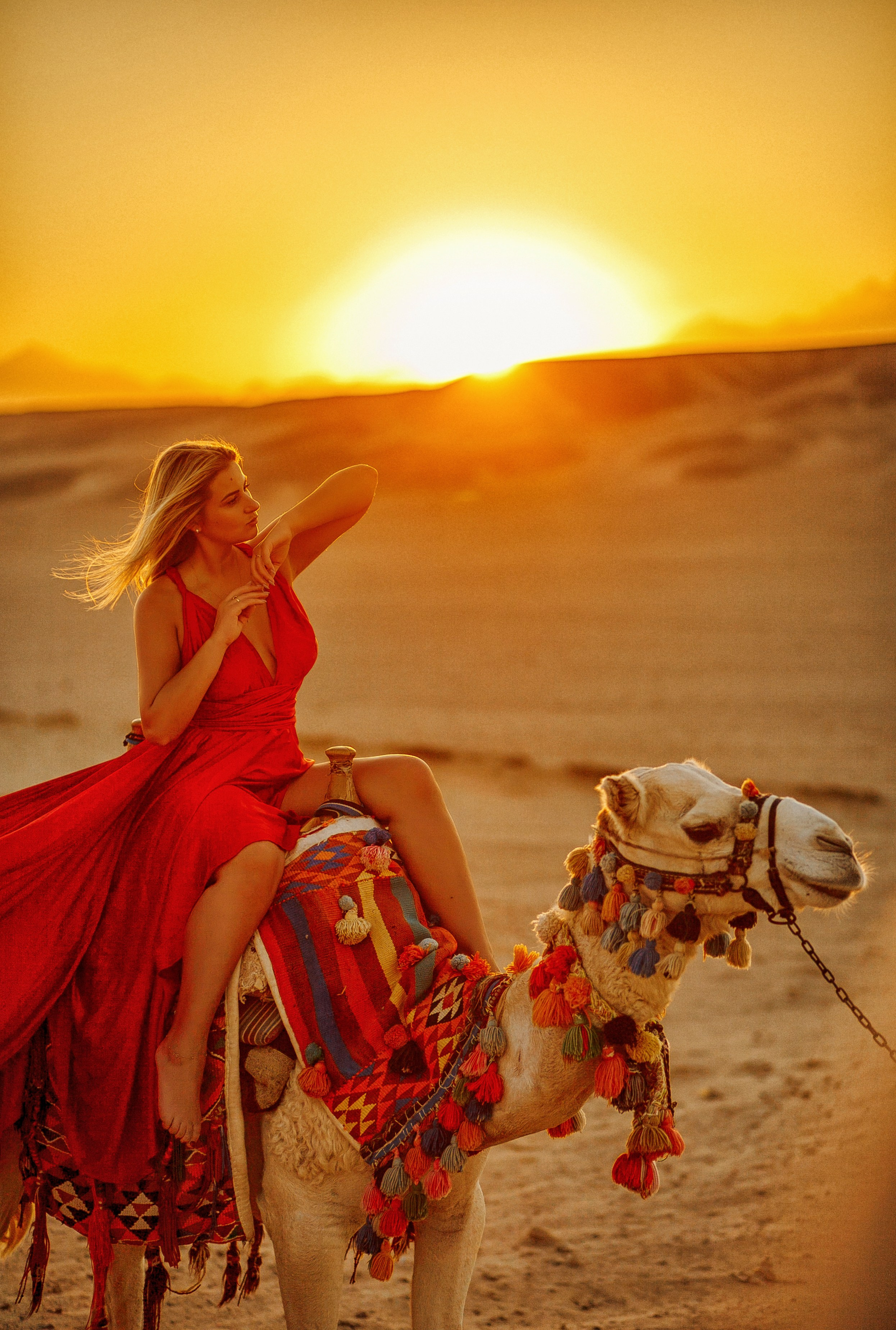 Фотосет с верблюдом. Фотограф Хургада / Египет Натали Шувалова
